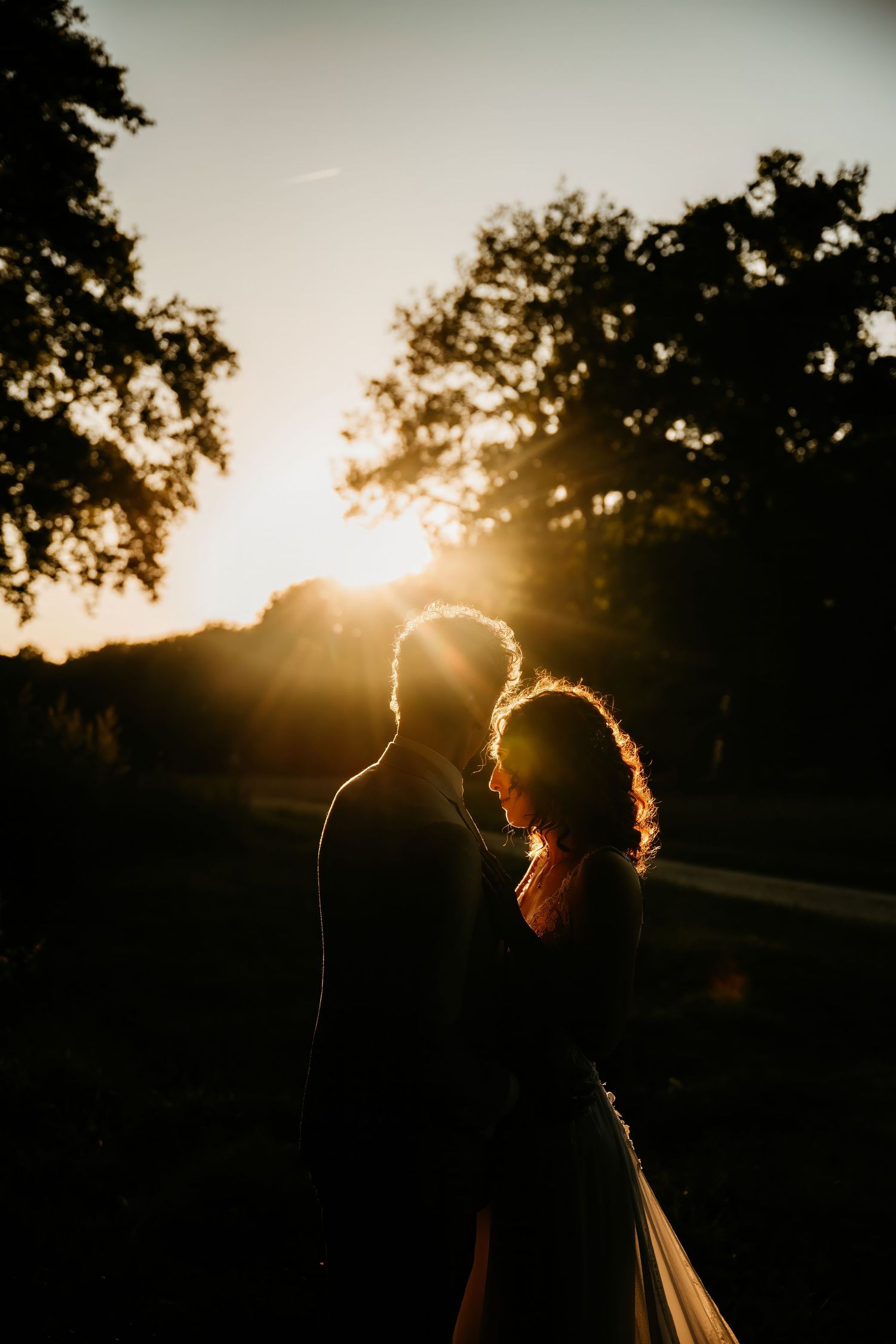 Silhouetted figures backlit by golden sunset through trees.