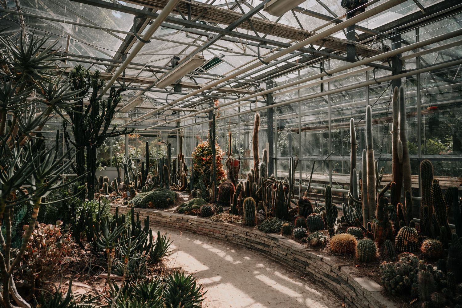 Large greenhouse with glass walls and ceiling filled with tropical plants and cacti creating a lush indoor garden environment.