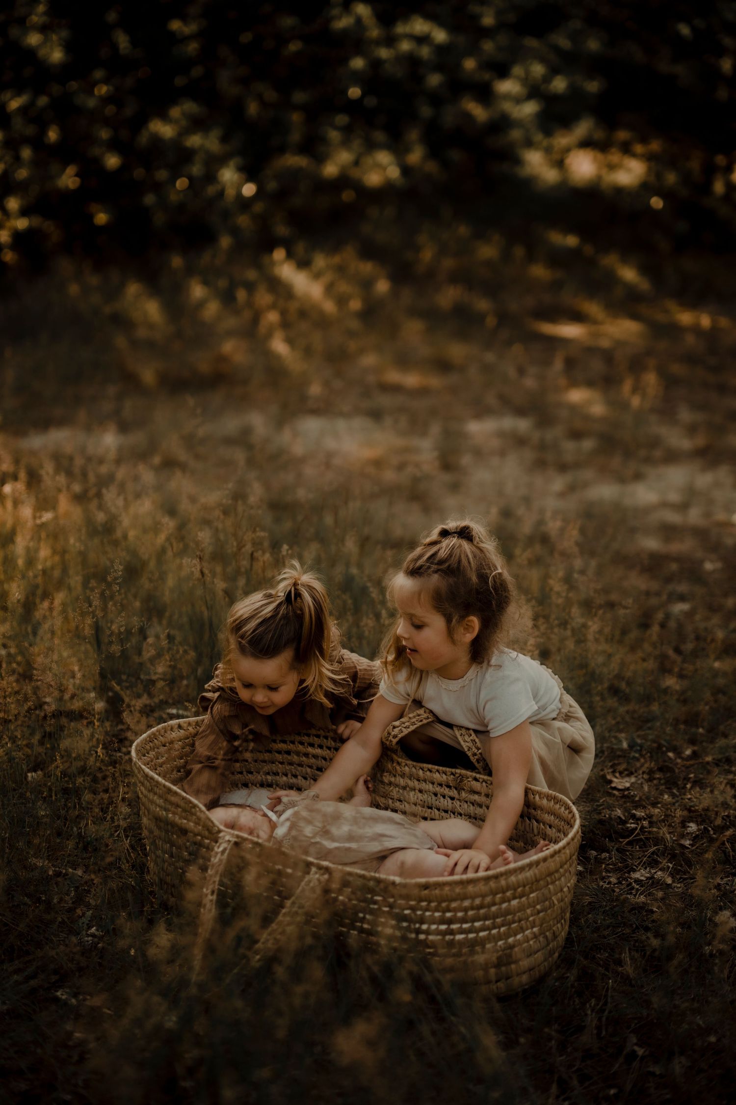 Children looking into a woven basket together in warm sunset lighting.