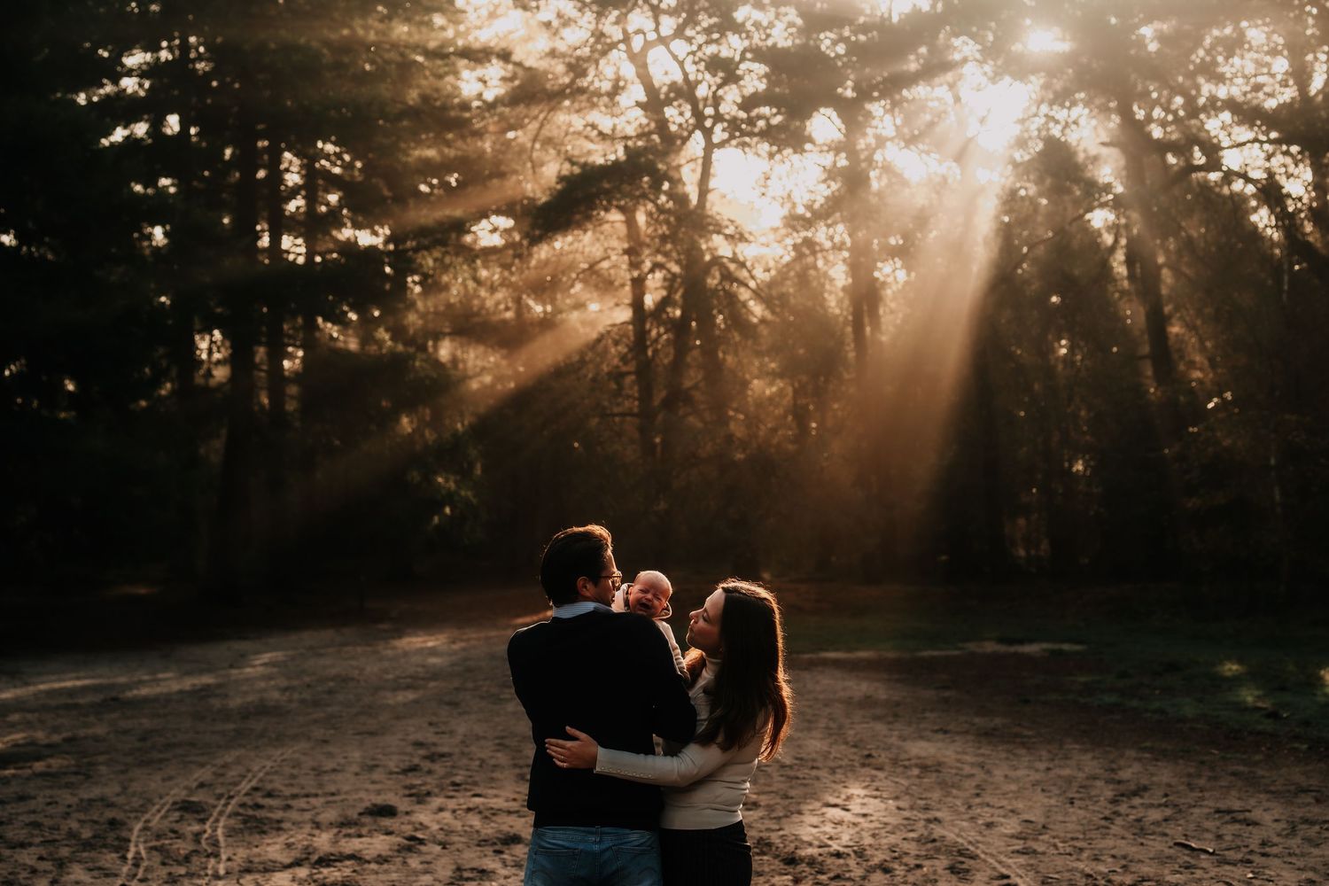 Couple embraces in a forest during golden hour with sunbeams streaming through the trees.