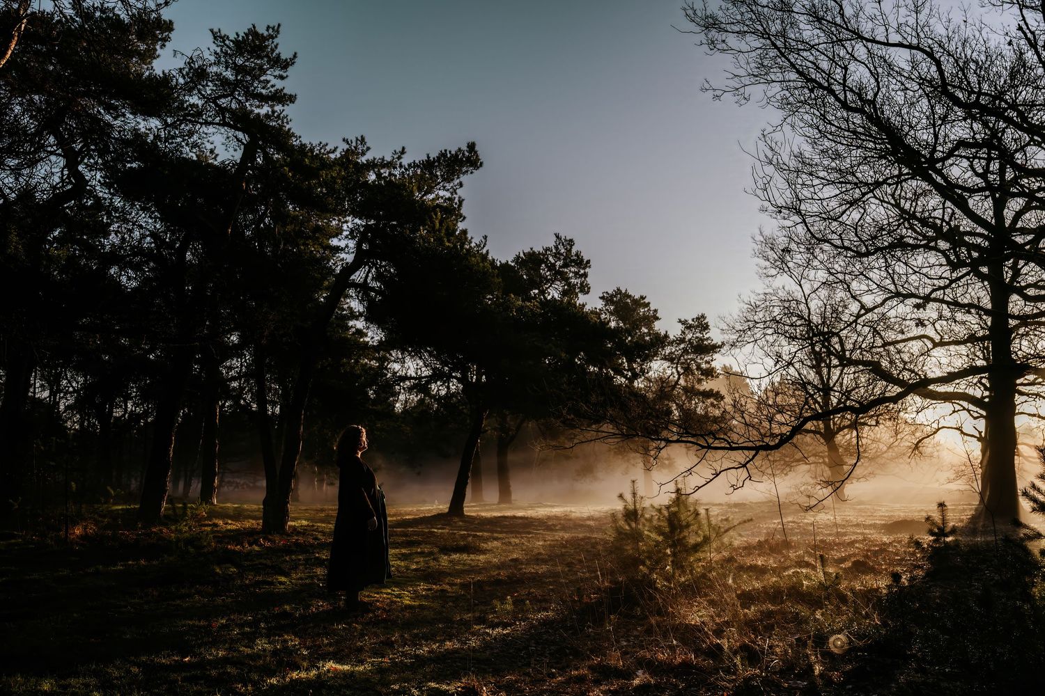 Silhouetted trees stand against a misty sunset sky creating a moody atmospheric landscape.