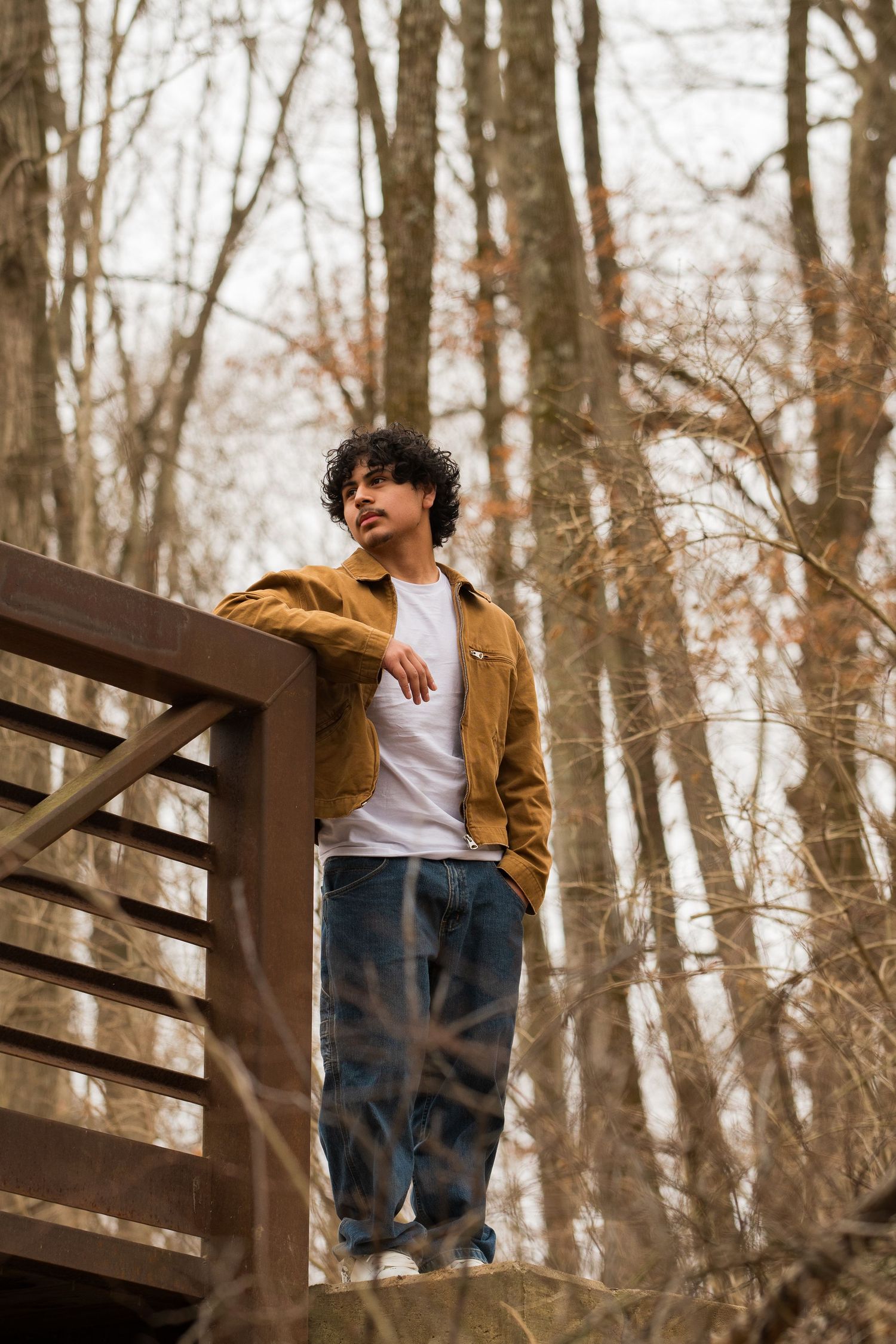 A series of four progressive shots showing someone in a brown jacket and jeans leaning on a wooden railing in autumn woods.