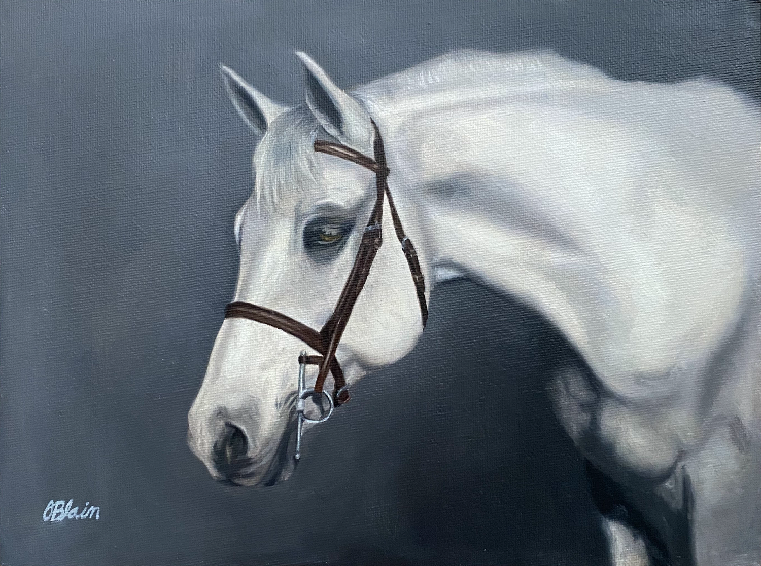 Earl — commissioned oil pet portrait by Olivia Blain