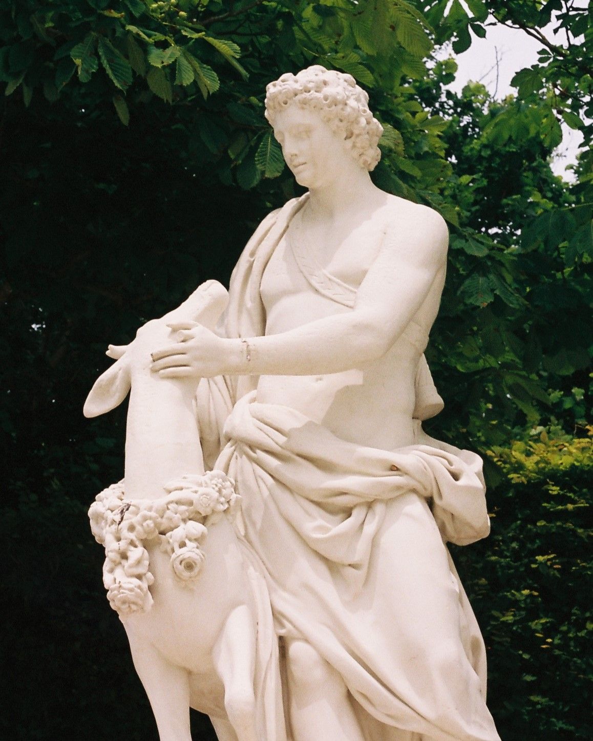 35mm film photograph of the sculpture Cyparissus
