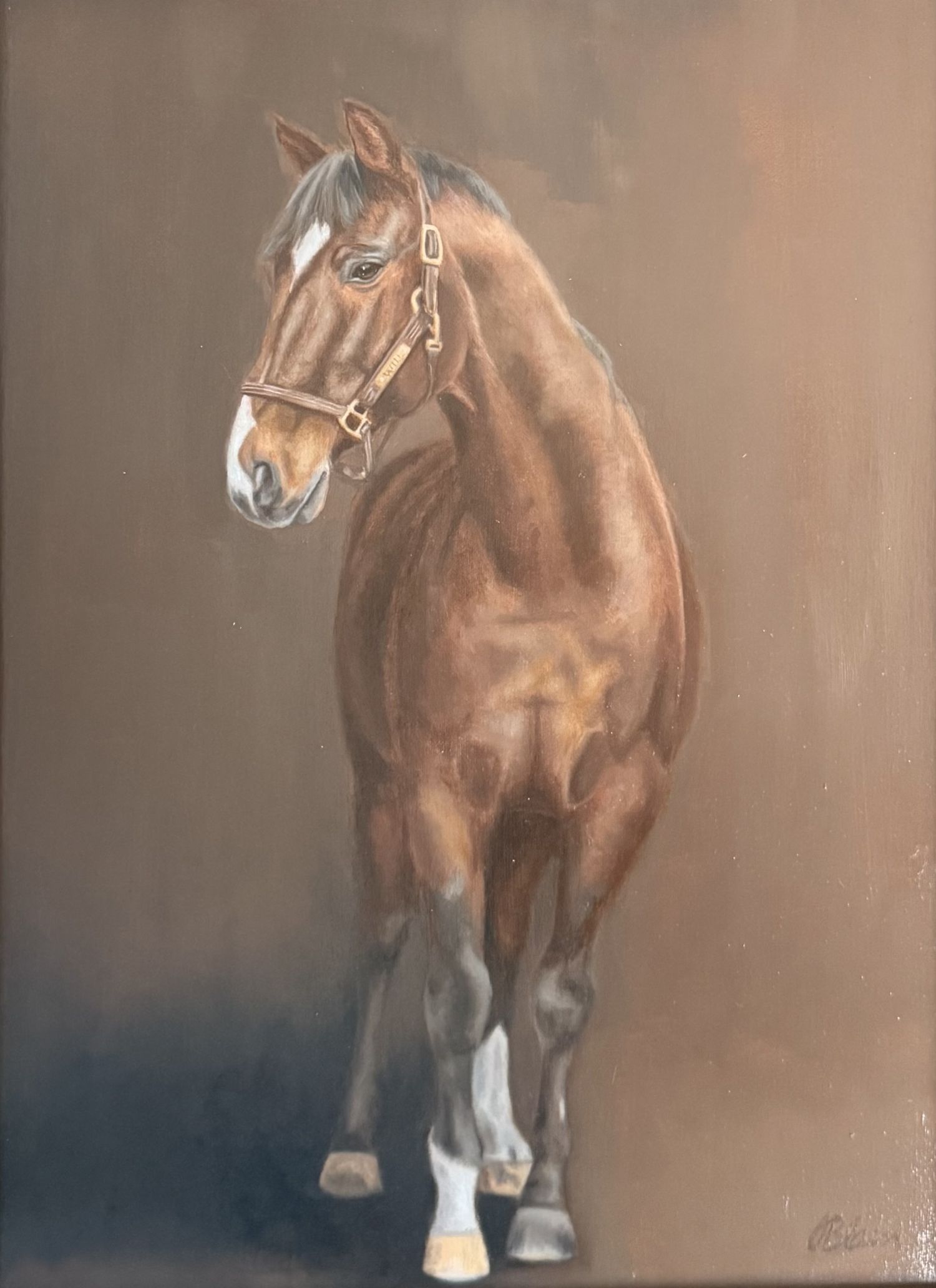 Will — commissioned oil portrait of a bay horse by equine artist Olivia Blain, Wilmington NC