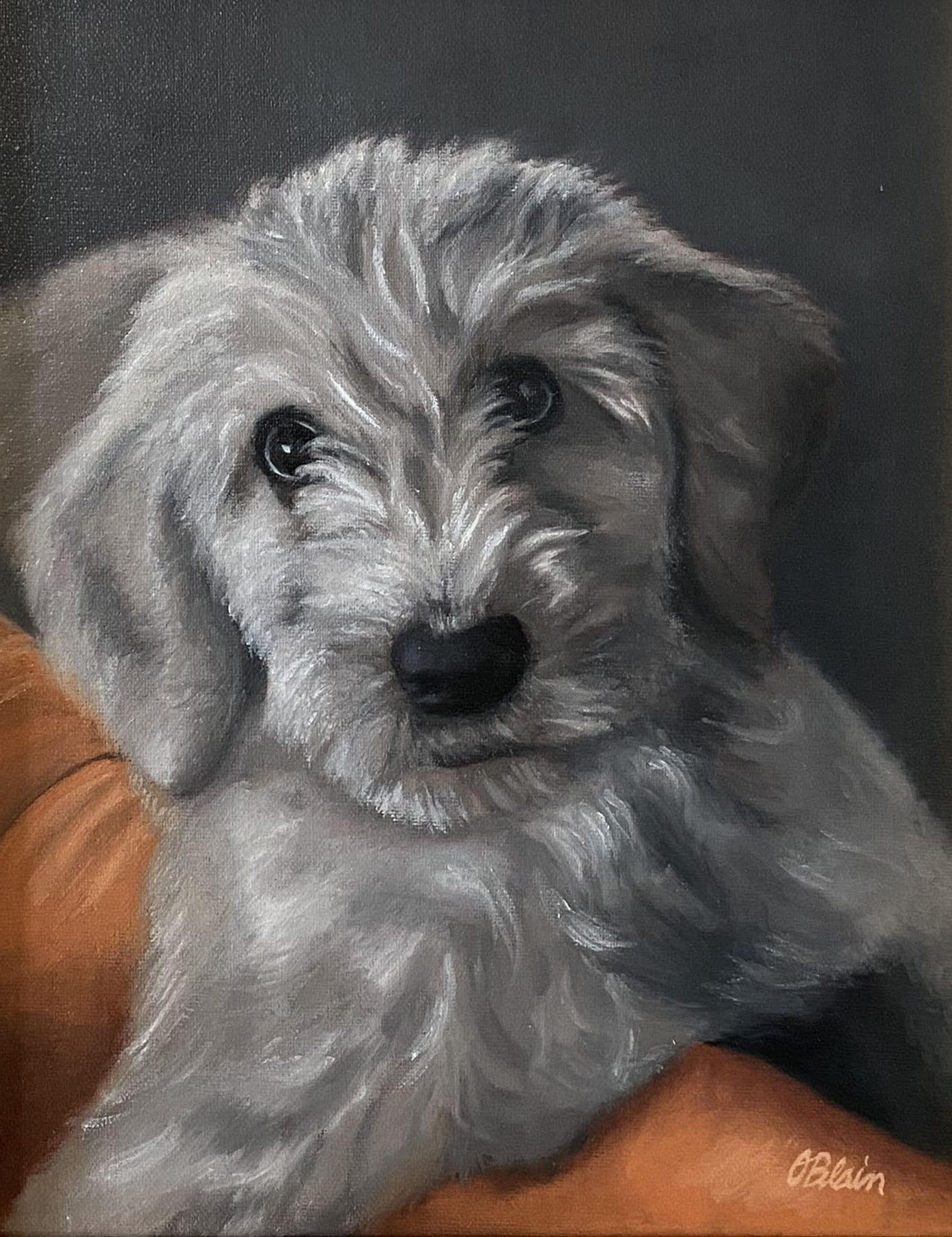 Bella — commissioned oil portrait of a scruffy grey puppy by pet portrait artist Olivia Blain