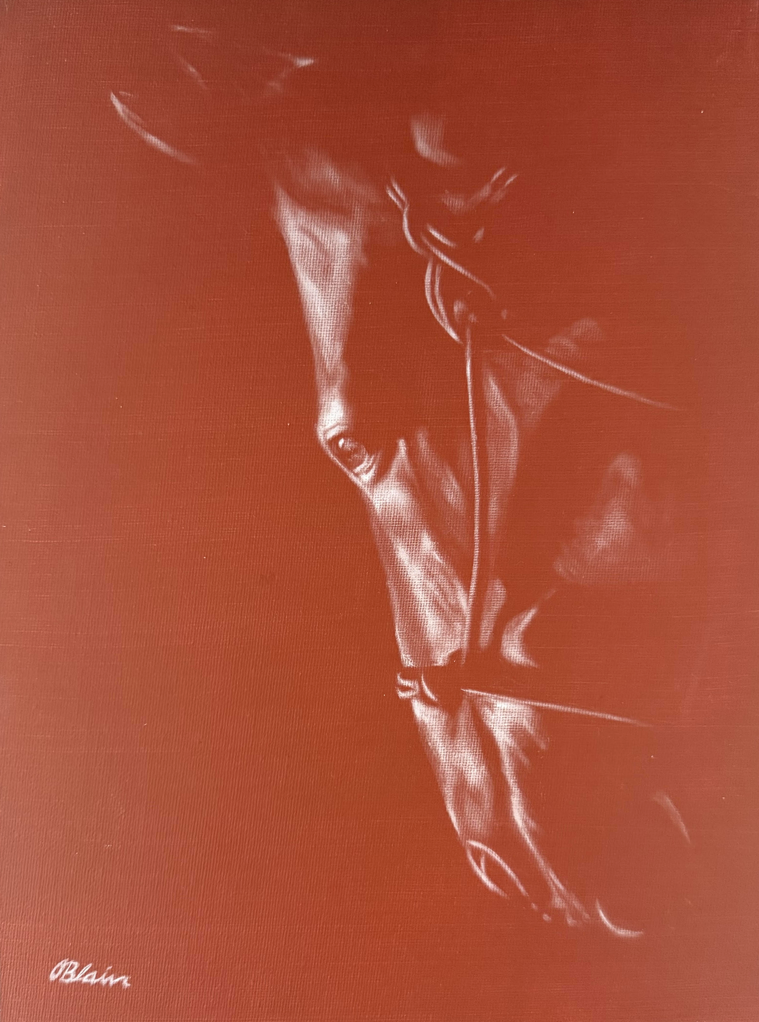 Marvin — equestrian painting by Olivia Blain