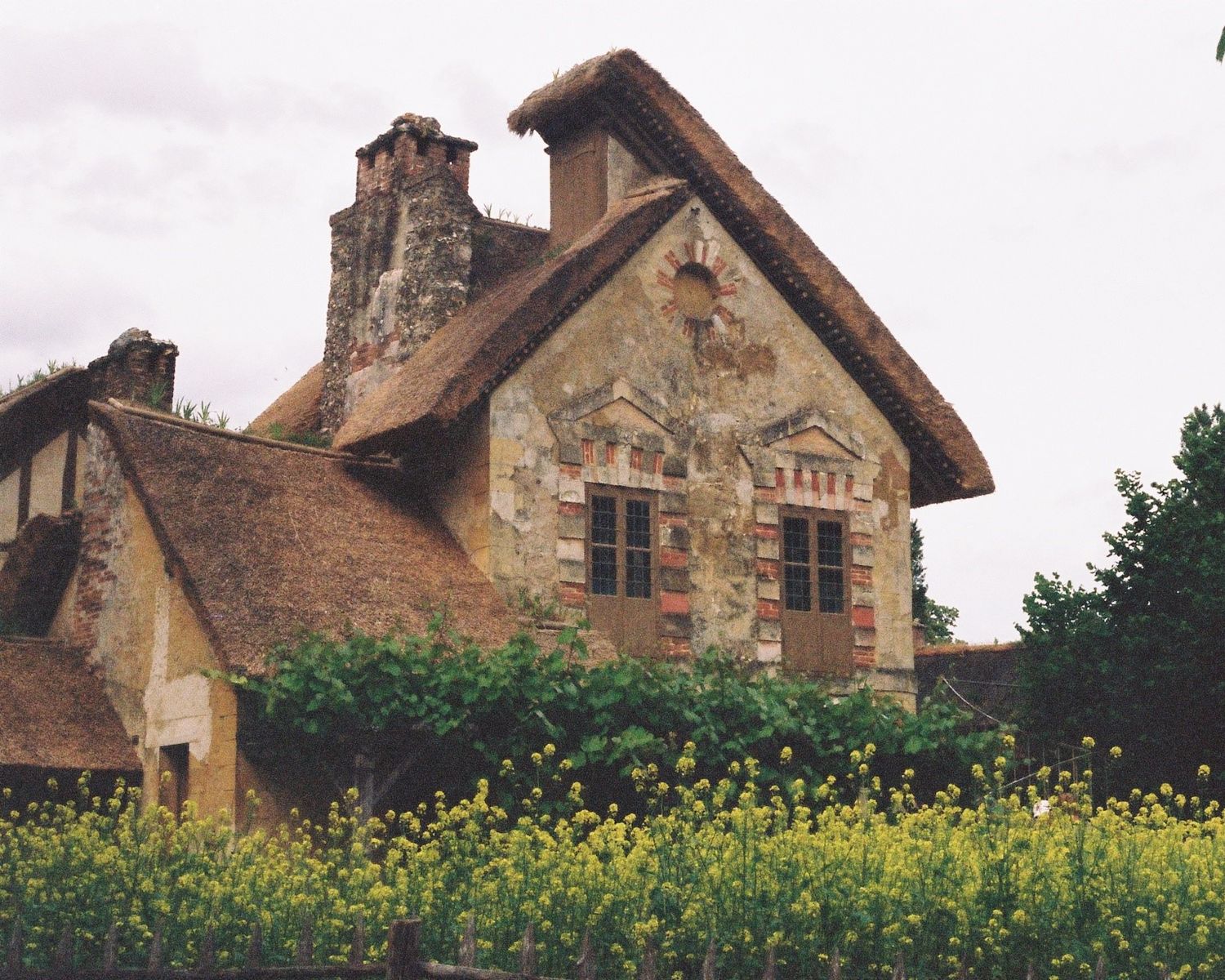35mm film photograph of the mill at Versailles, France