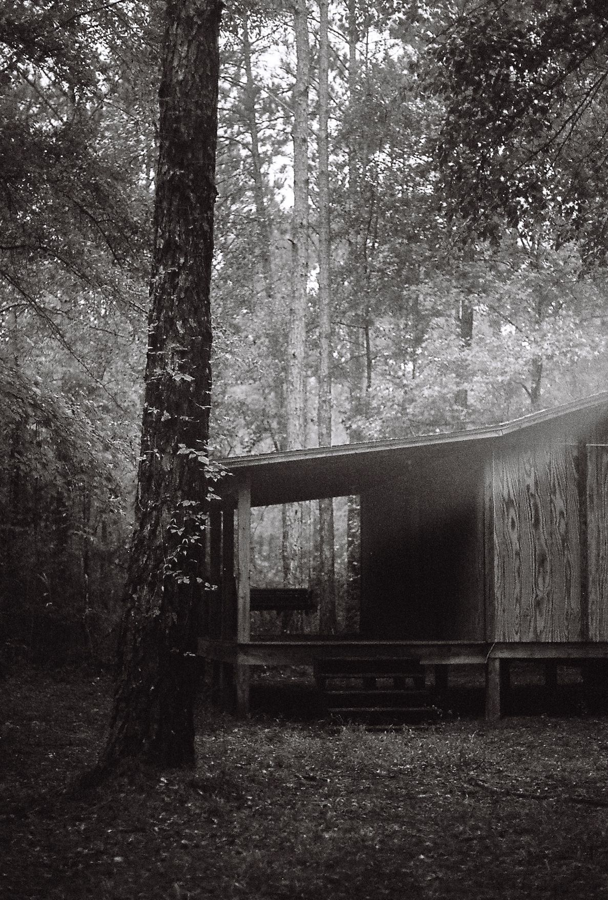 35mm film photograph of a rustic cabin