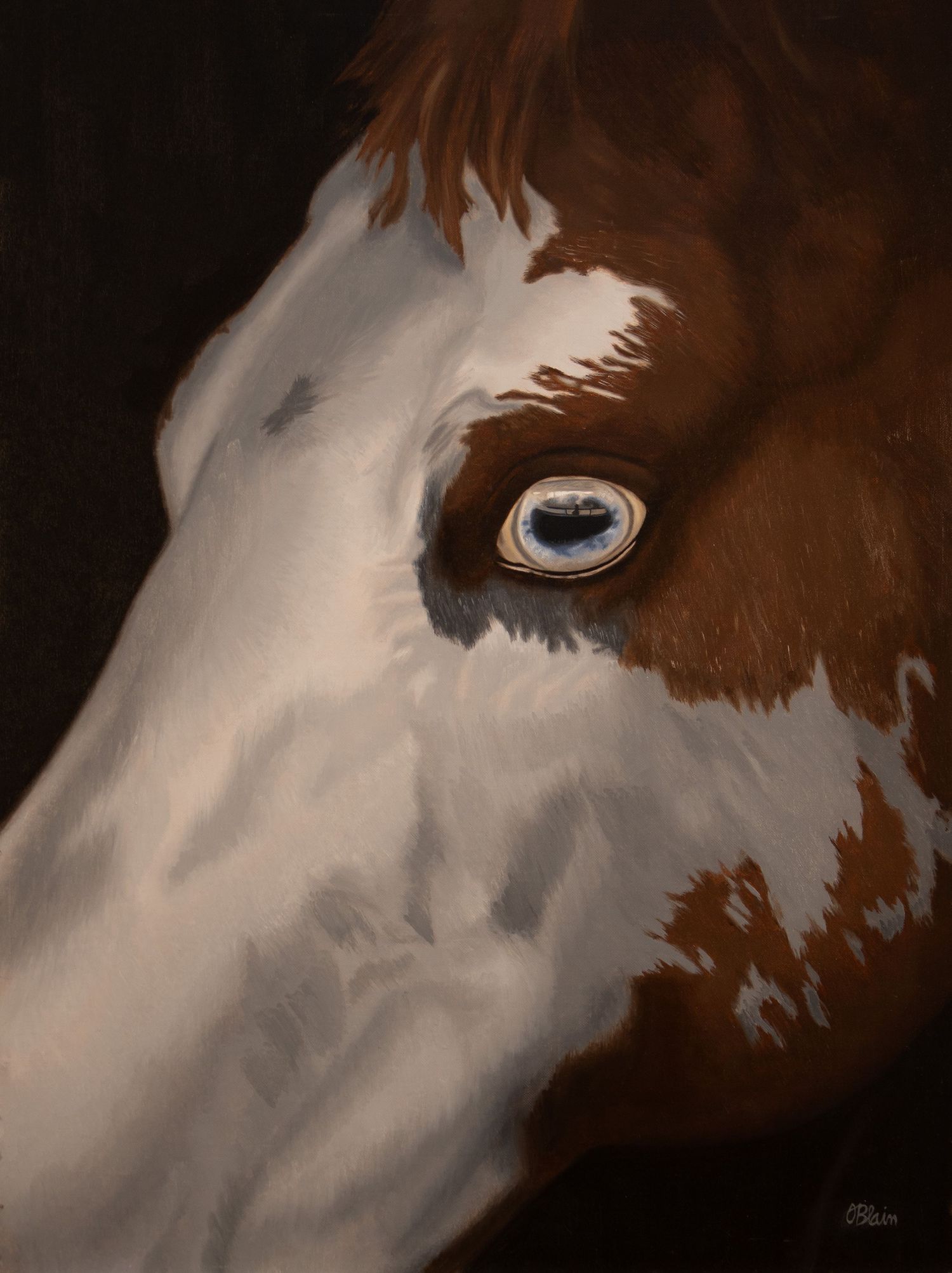 Oak Island Beacon — close-up oil portrait of a paint horse with a pale blue eye by equine artist Olivia Blain, Wilmington NC