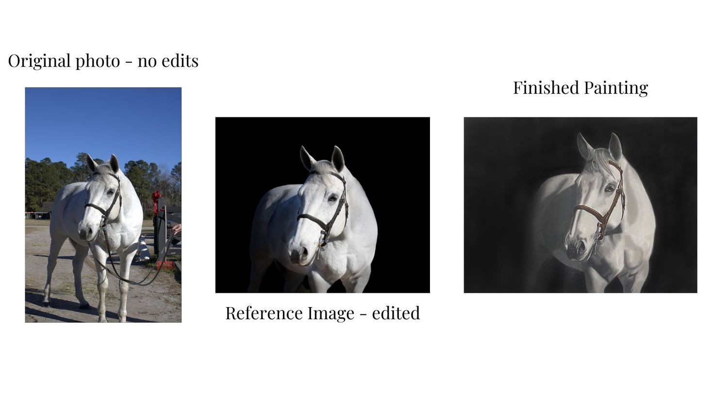 Unedited reference photo example used to plan a commissioned oil portrait