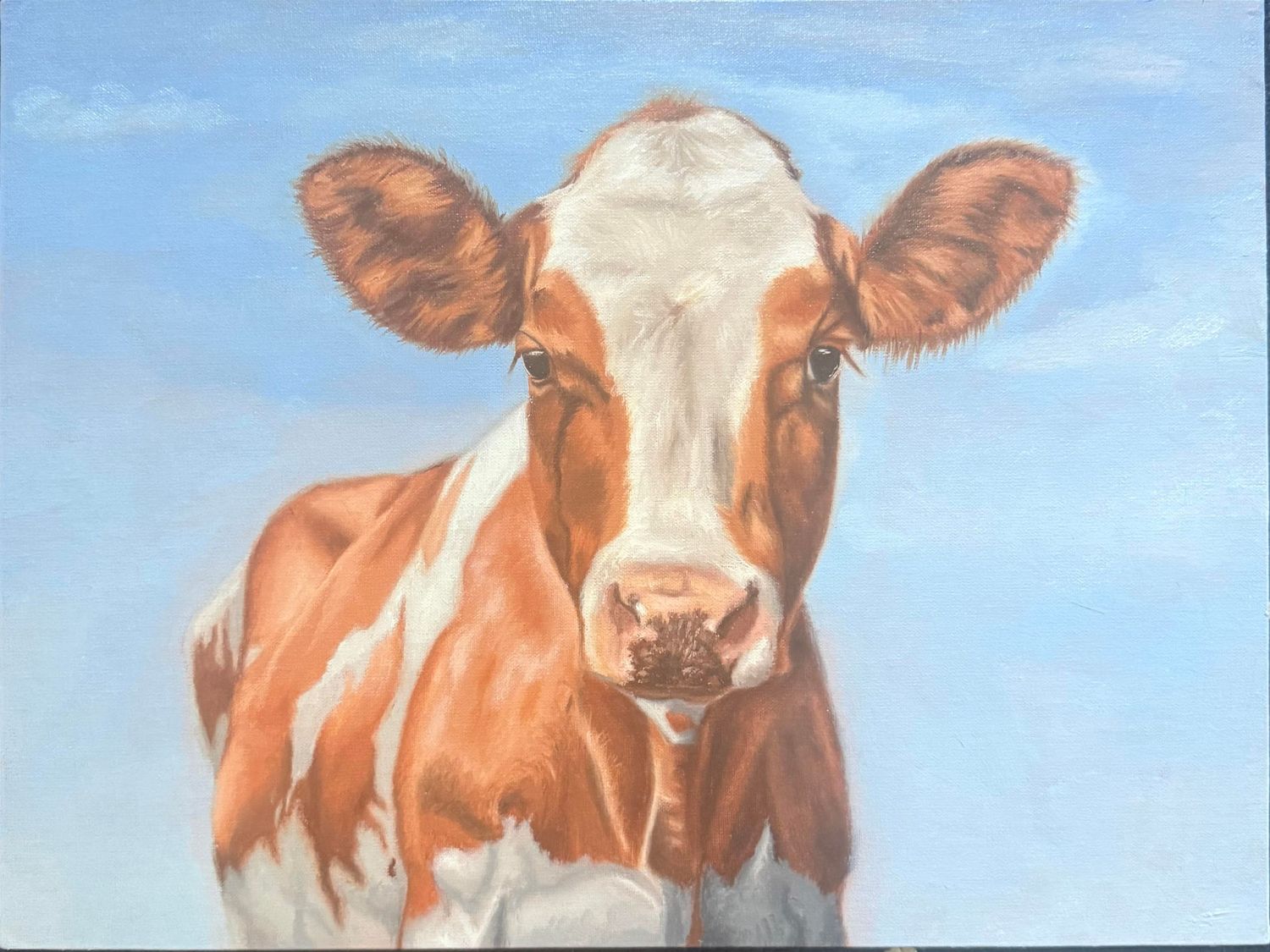 My Sweet Clementine — oil painting of a red and white cow by Olivia Blain