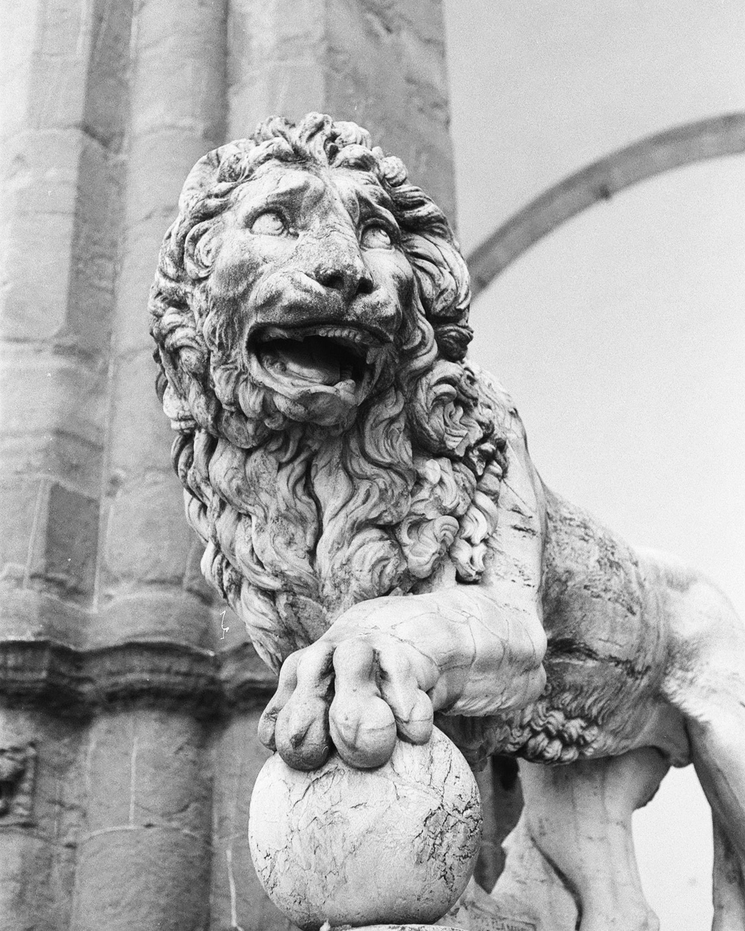 35mm film photograph of a Medici lion statue in Florence, Italy