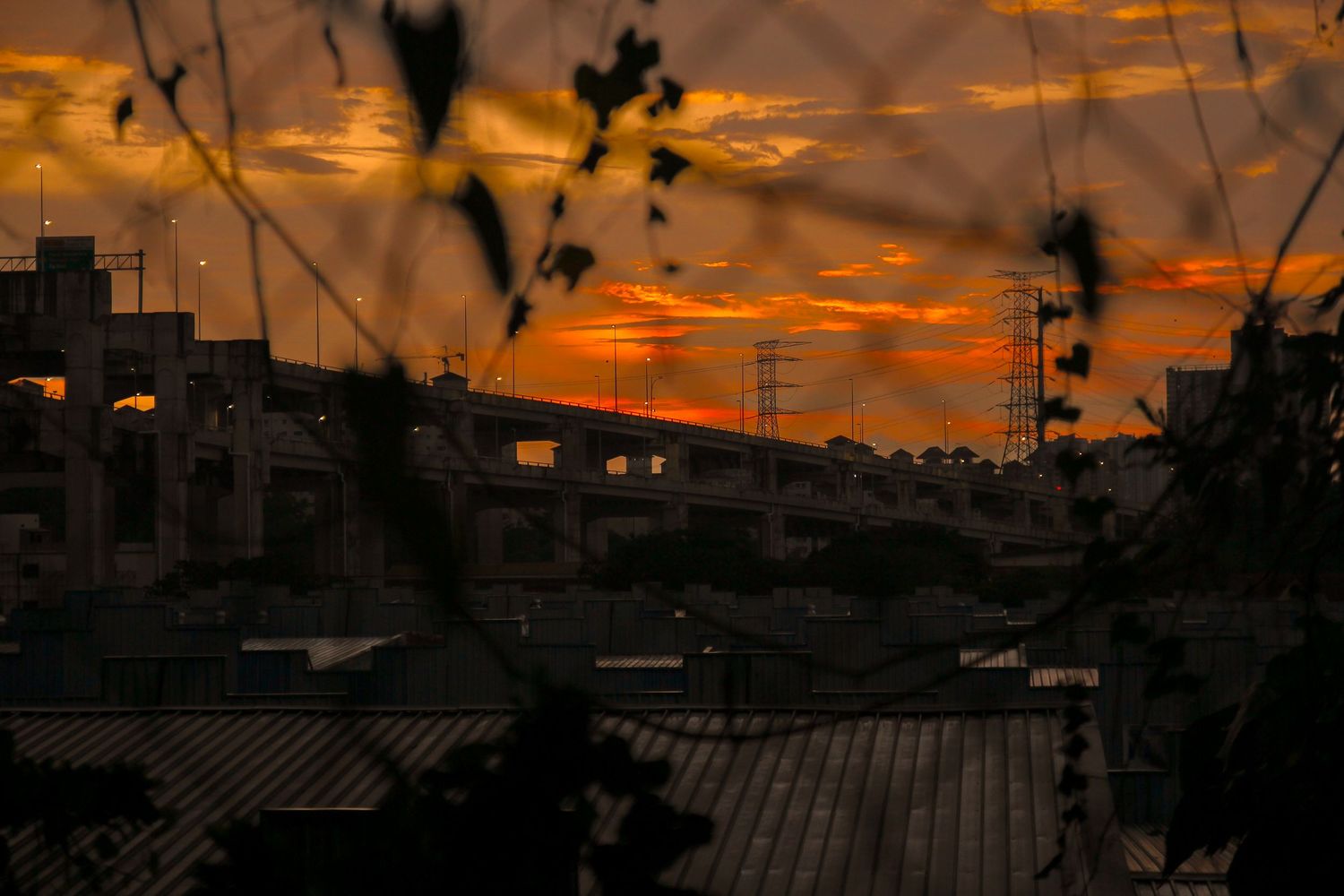 sunset