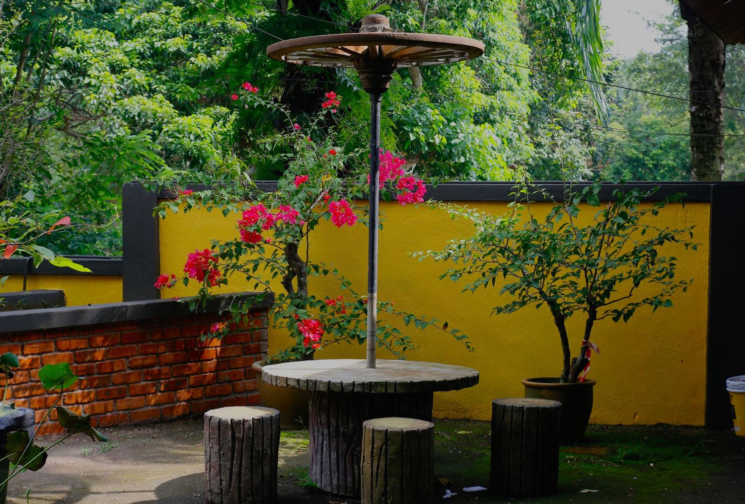 nature, outdoor table