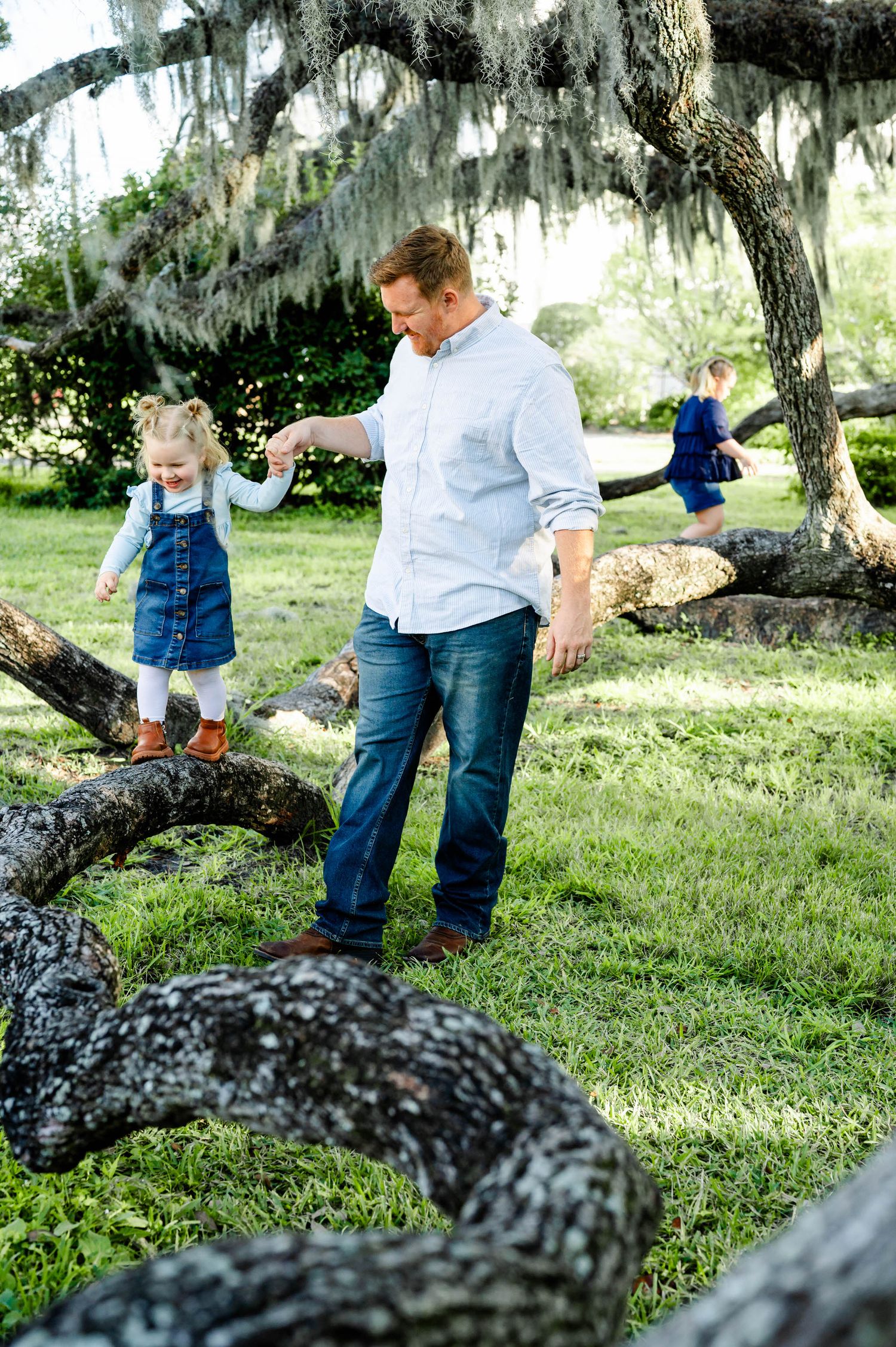 A playful scene under Spanish moss-draped trees as people explore a winding tree branch in a sunny park.