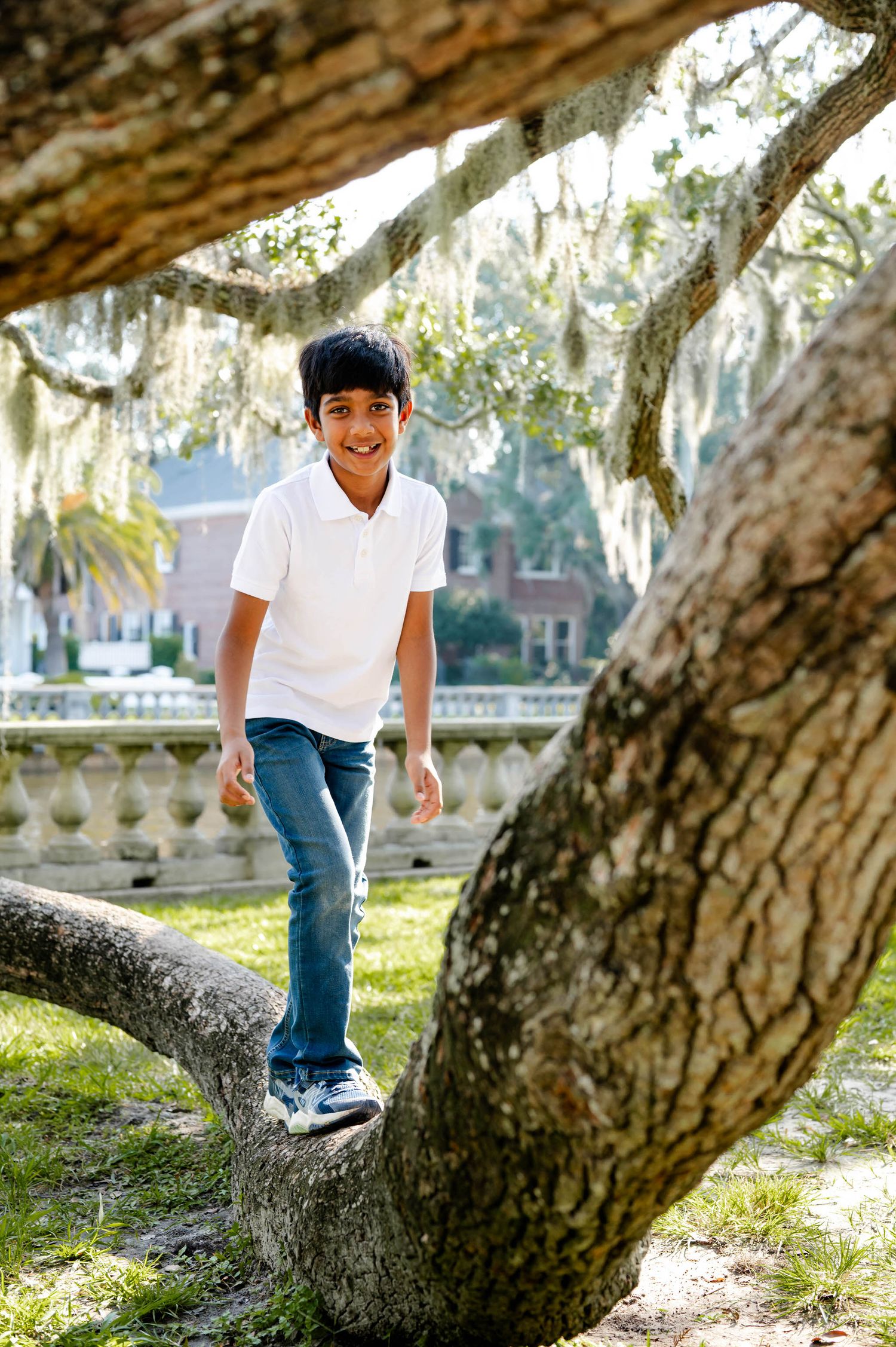 A young child in a white polo shirt and jeans plays on a large tree branch in a sunny outdoor setting.