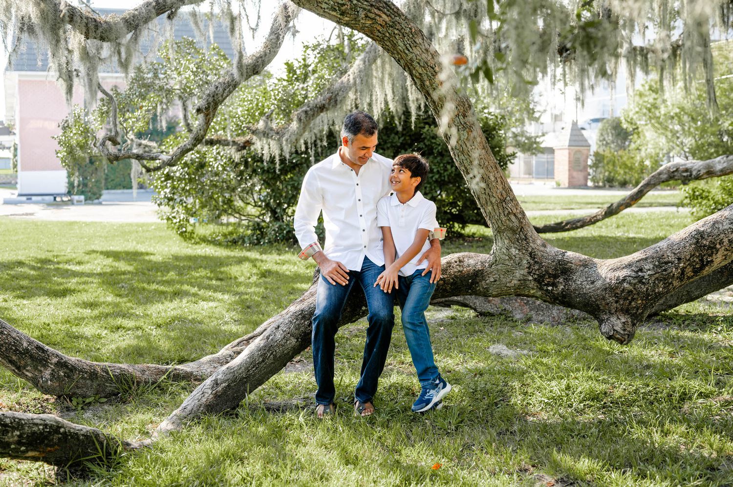 People sit together on a large tree branch covered in Spanish moss in a scenic outdoor park setting.