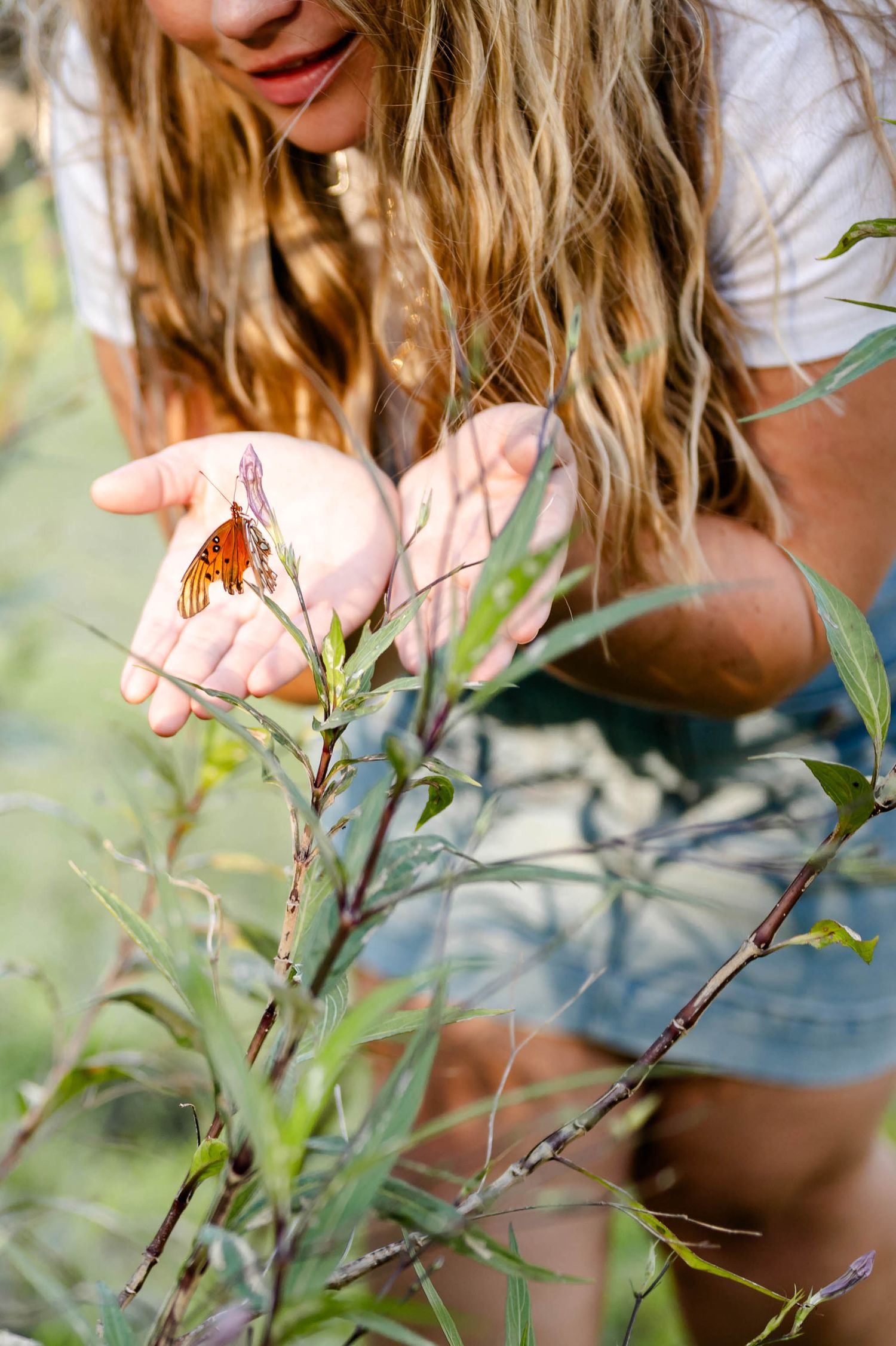 Close-up view of hands gently holding a delicate butterfly in natural sunlight at a spring mini session in jacksonville, fl.