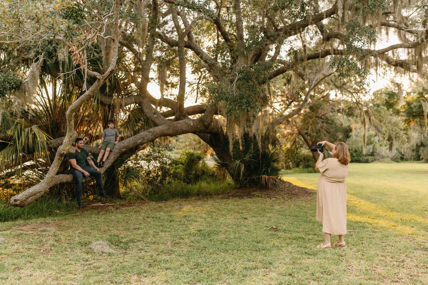 People share a moment under a large oak tree draped with Spanish moss in a serene garden setting at sunset.