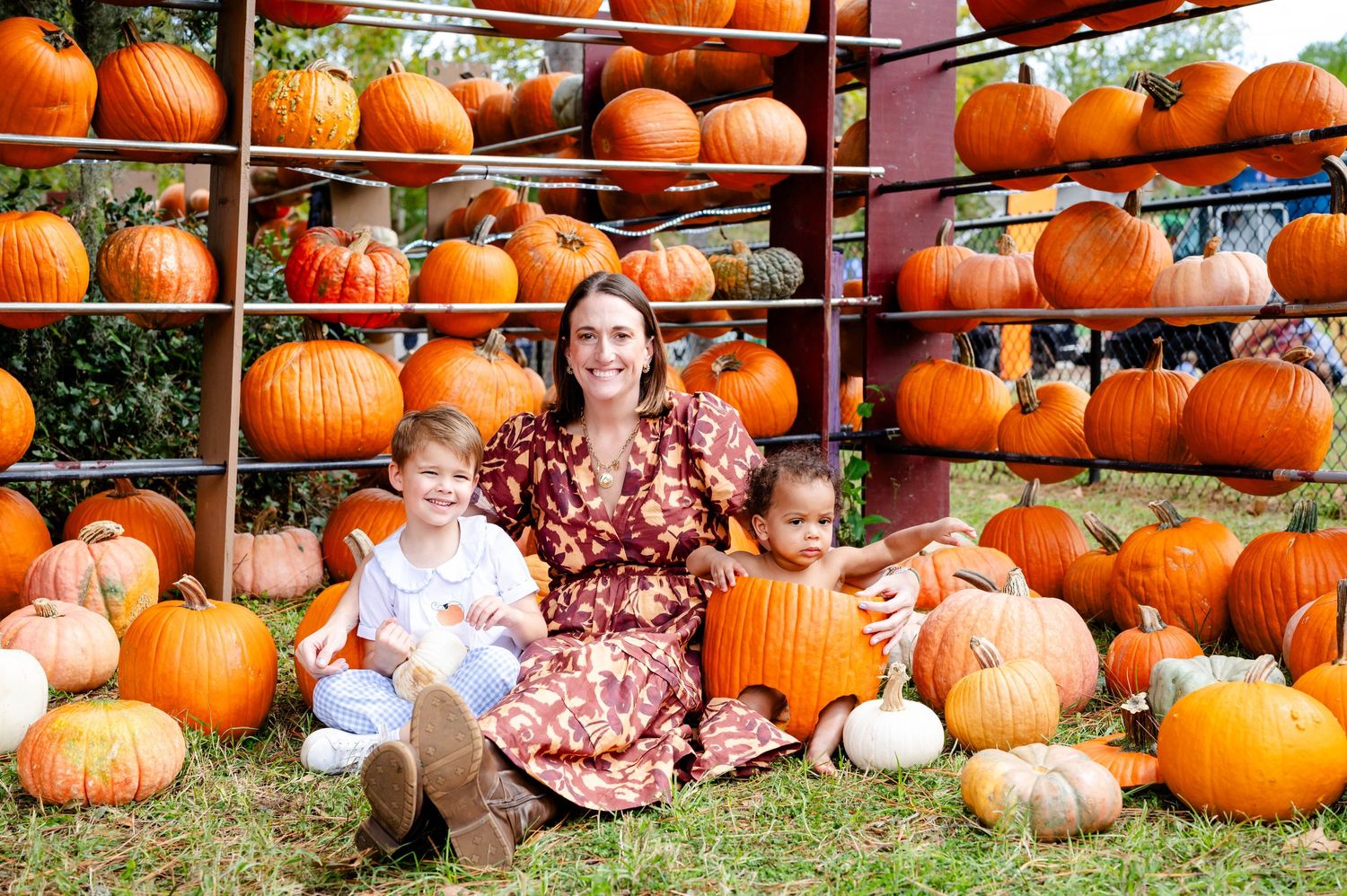 Row of orange and white pumpkins displayed outdoors during fall season.