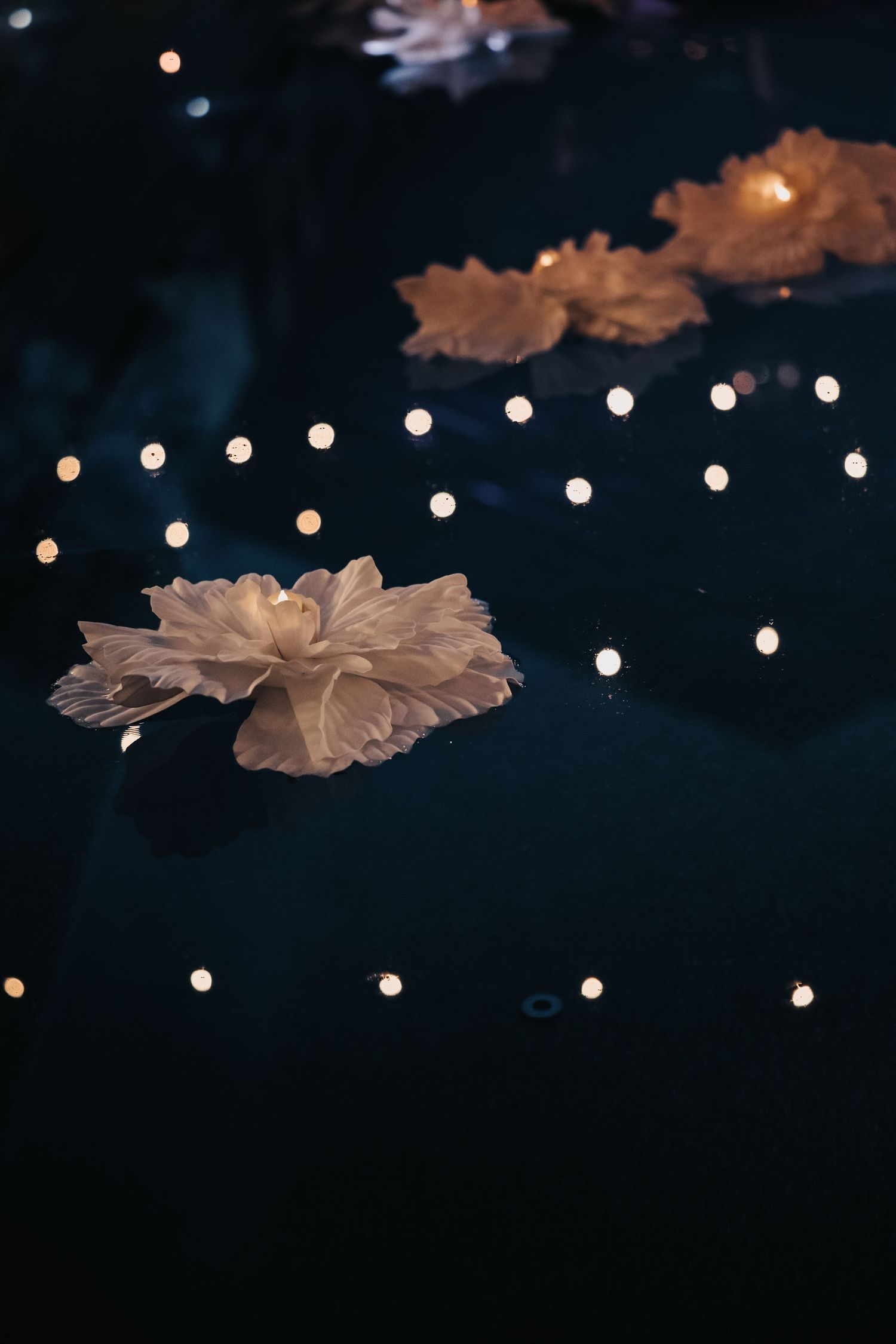 Delicate white flower petals float on dark water with scattered glowing bokeh lights creating a dreamy nighttime scene.