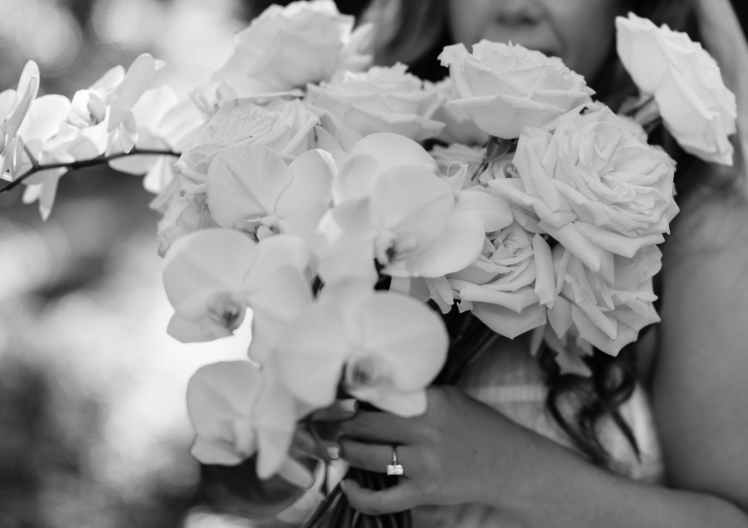 Black and white photograph of delicate white roses and petals arranged in an artistic composition.
