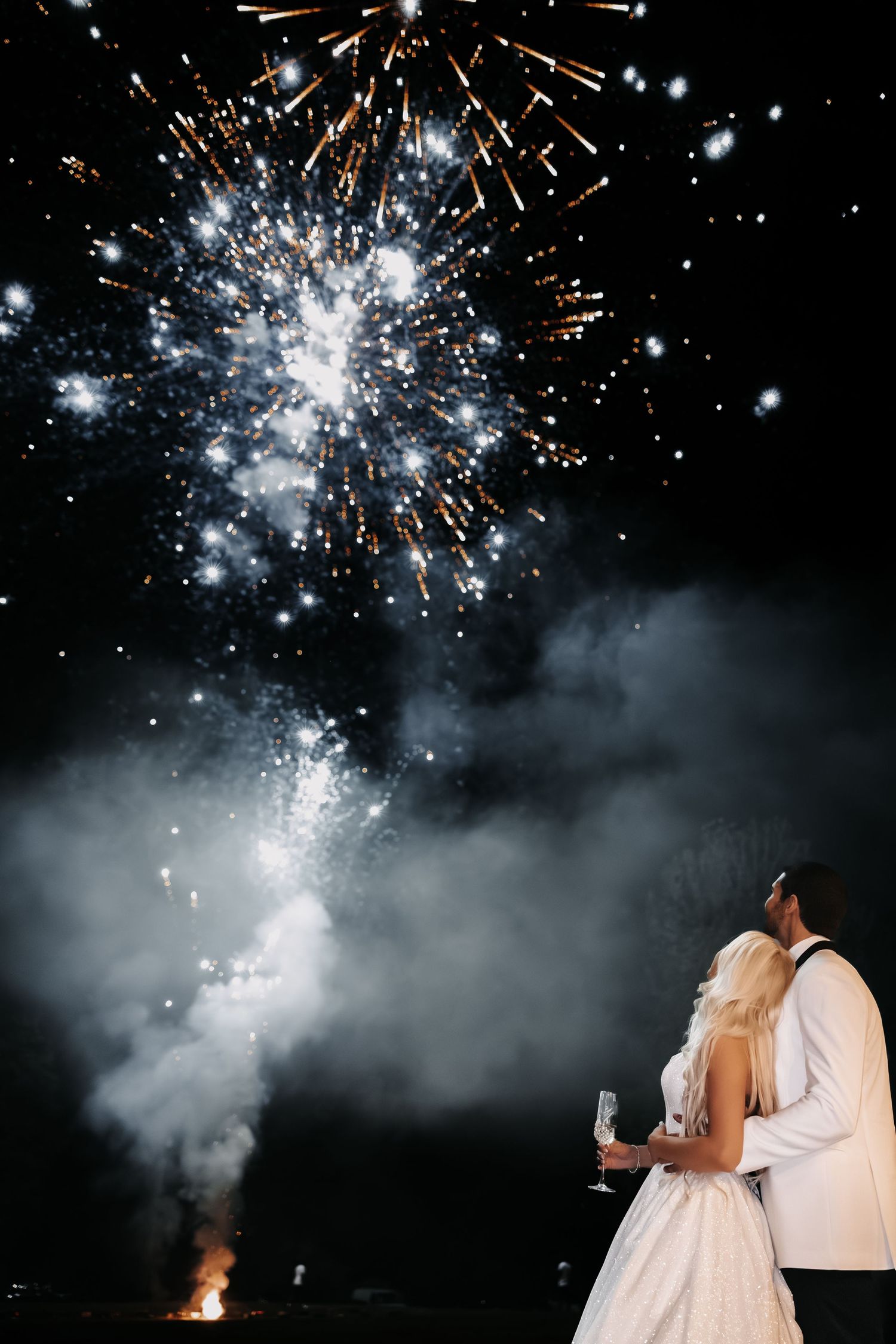 Fireworks light up the night sky creating a magical atmosphere during a romantic outdoor celebration.
Vizcaya Museum and Gardens