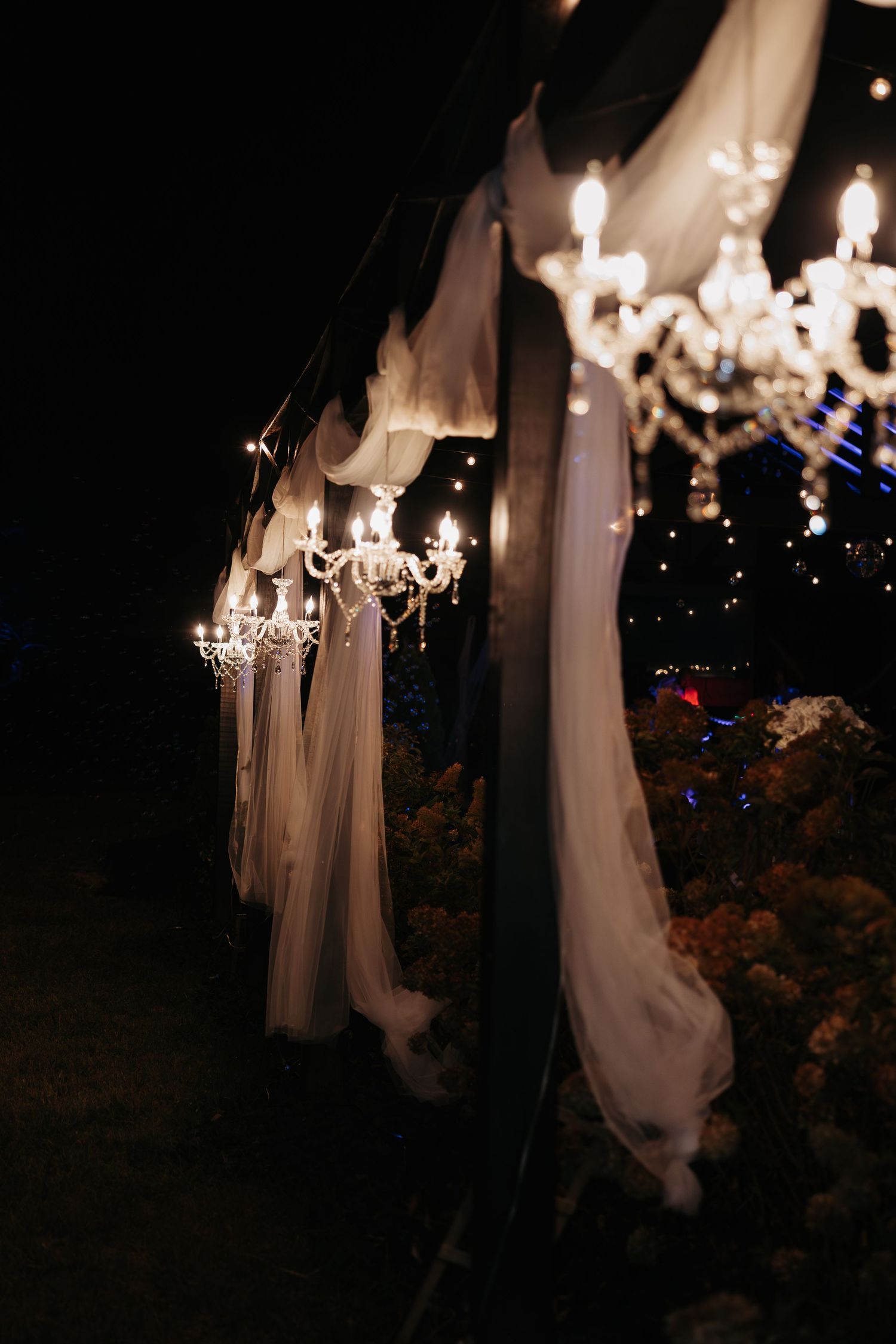 White fabric drapes and illuminated chandeliers create an elegant outdoor nighttime setting for a special event.