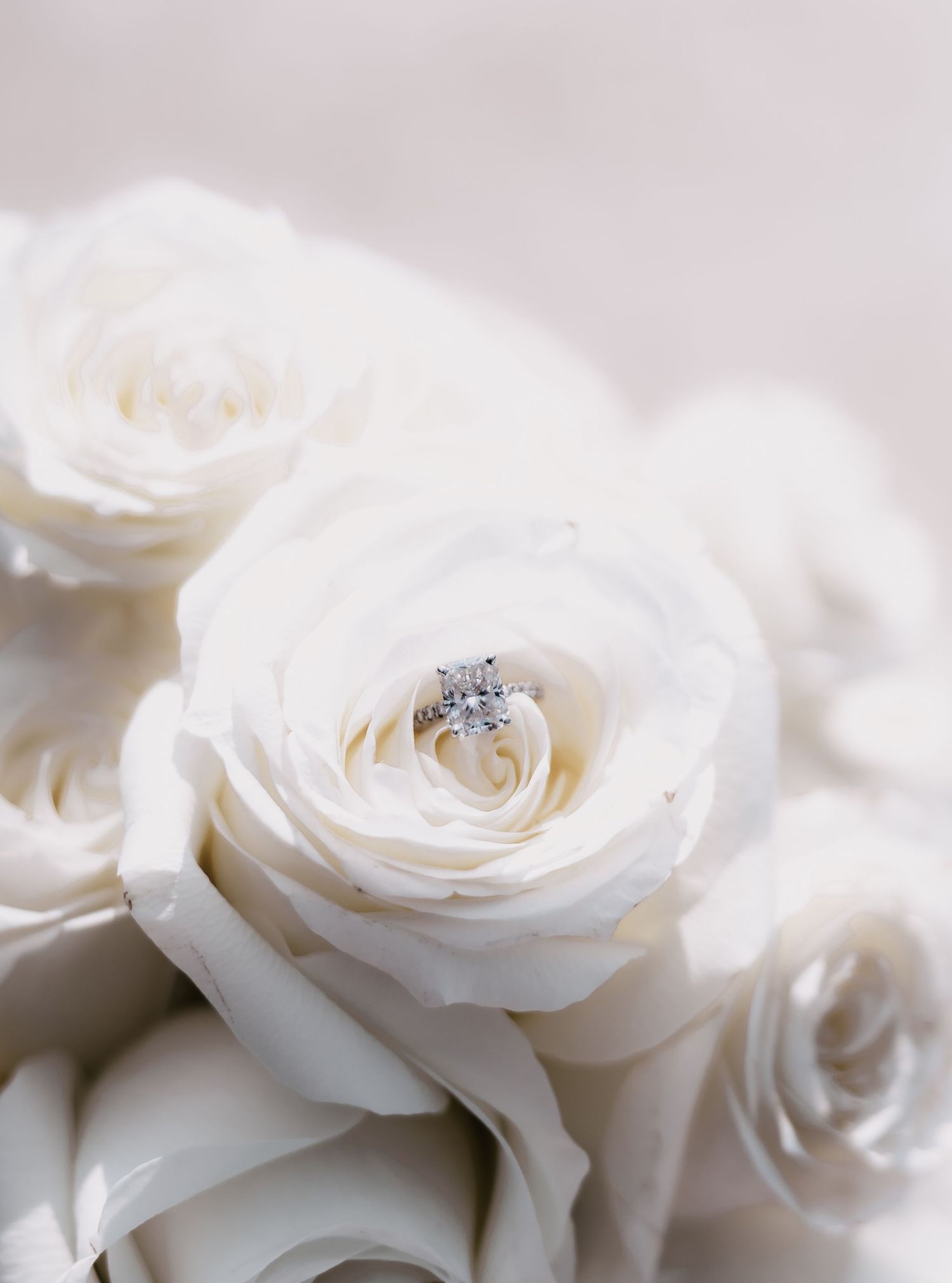 Wedding Portrait by The Miller Edit - Nashville & 30A wedding photographers