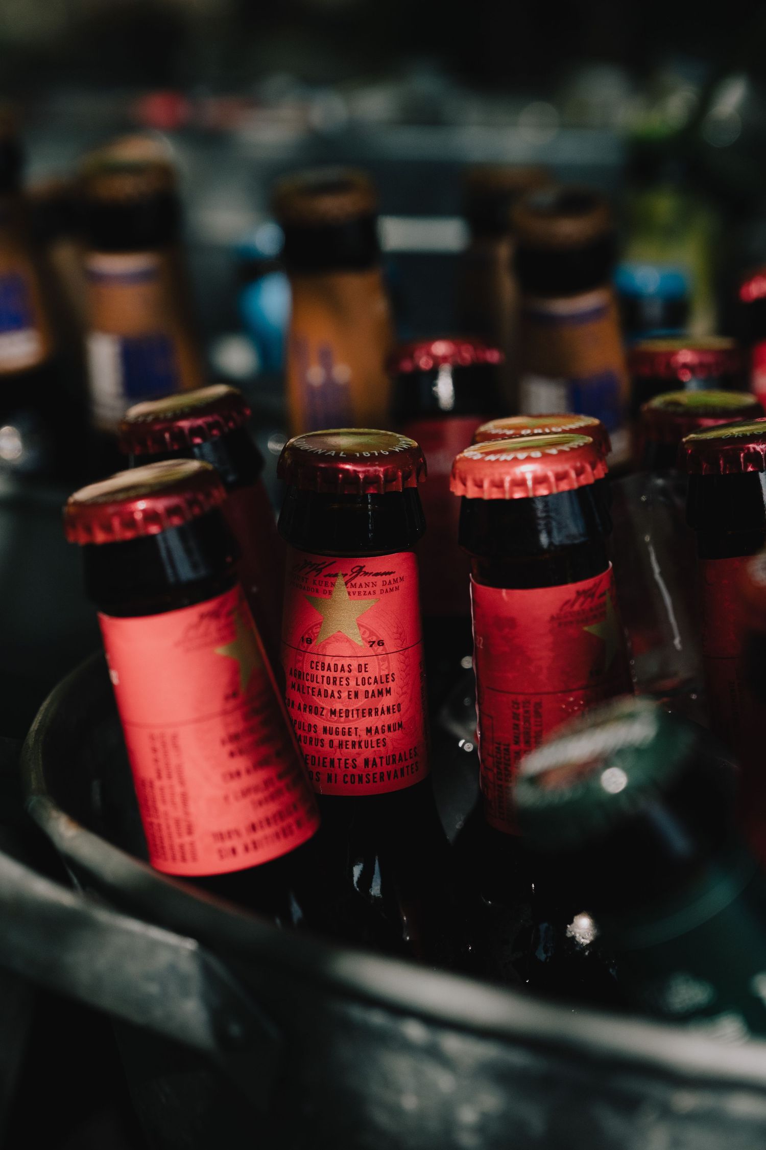 Close-up of red glass bottles in an ice bucket at a celebration.