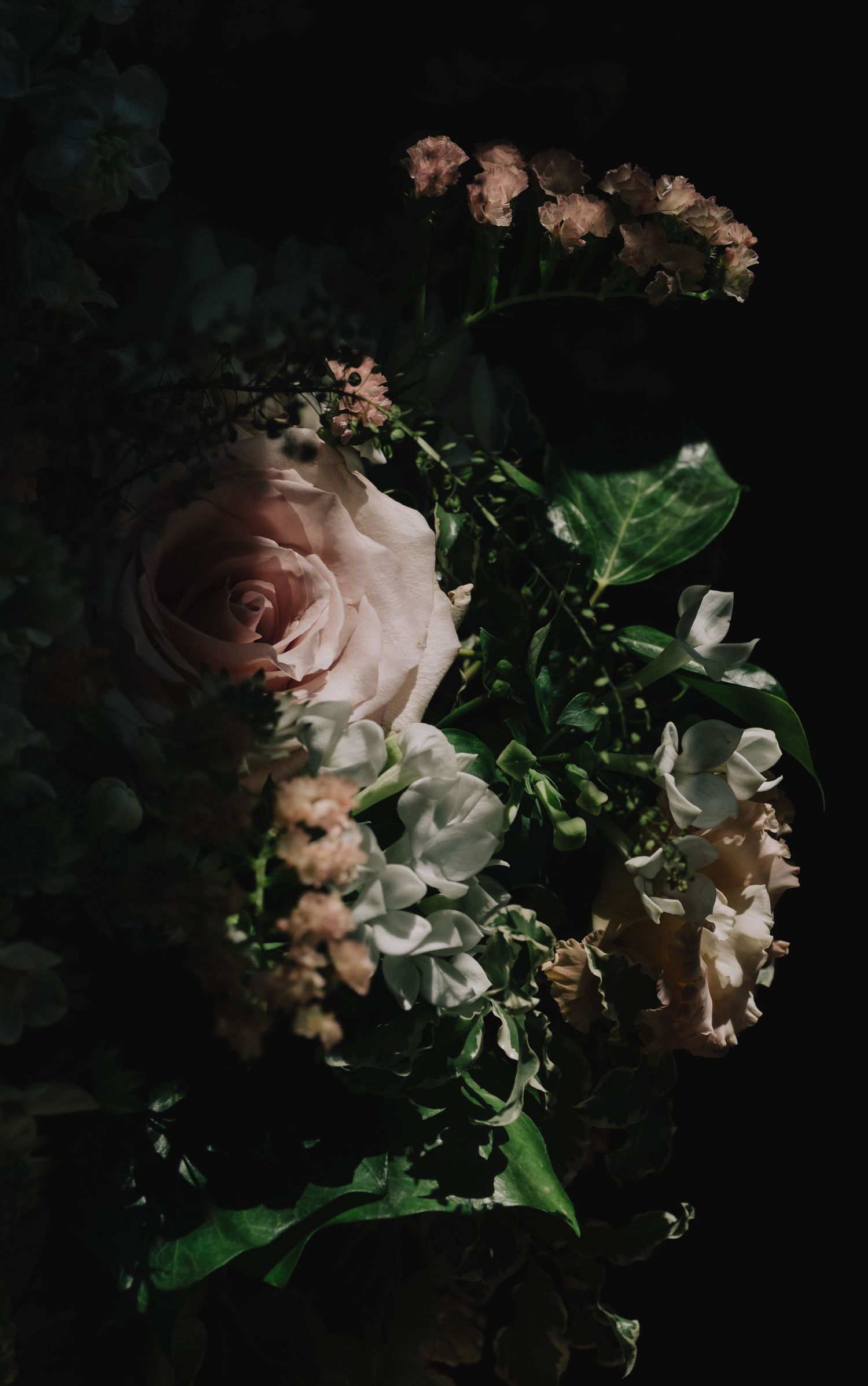 Moody floral arrangement with pink roses and delicate blooms against dark background.