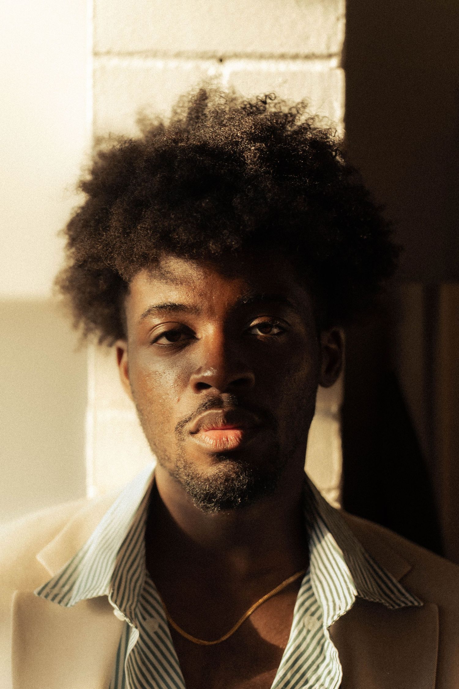 portrait montreal