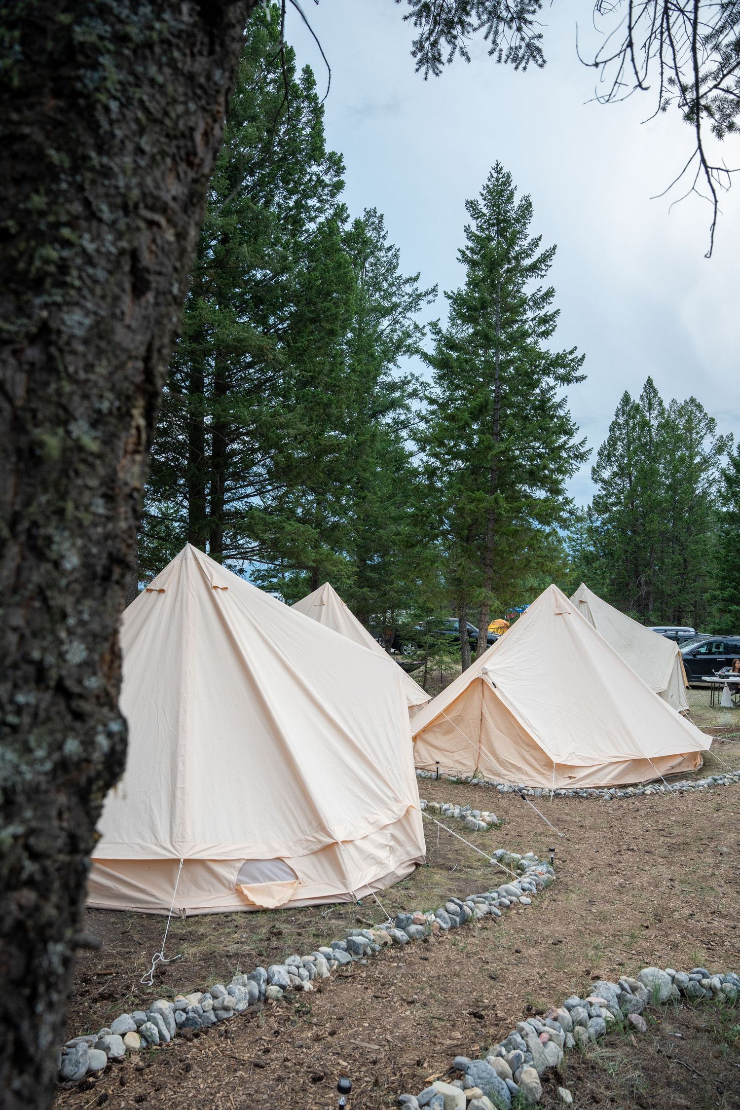 Wicked woods 2025 photography at event by mike graves premium camping Revelstoke BC event photographer, music festival photography,