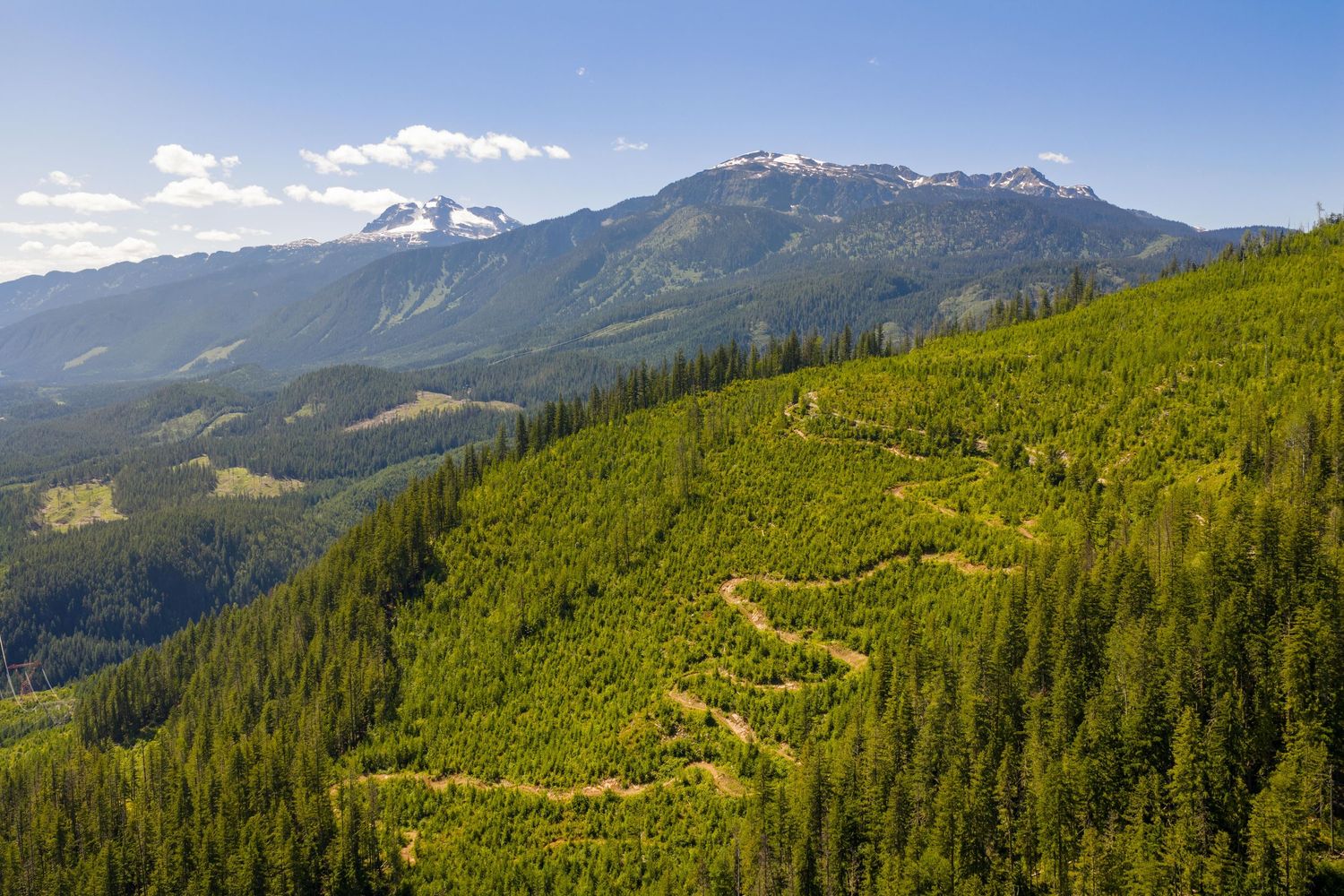 Cinematic drone shot of mountain peaks near Revelstoke, British Columbia captured by professional drone videographer Revelstoke aerial drone