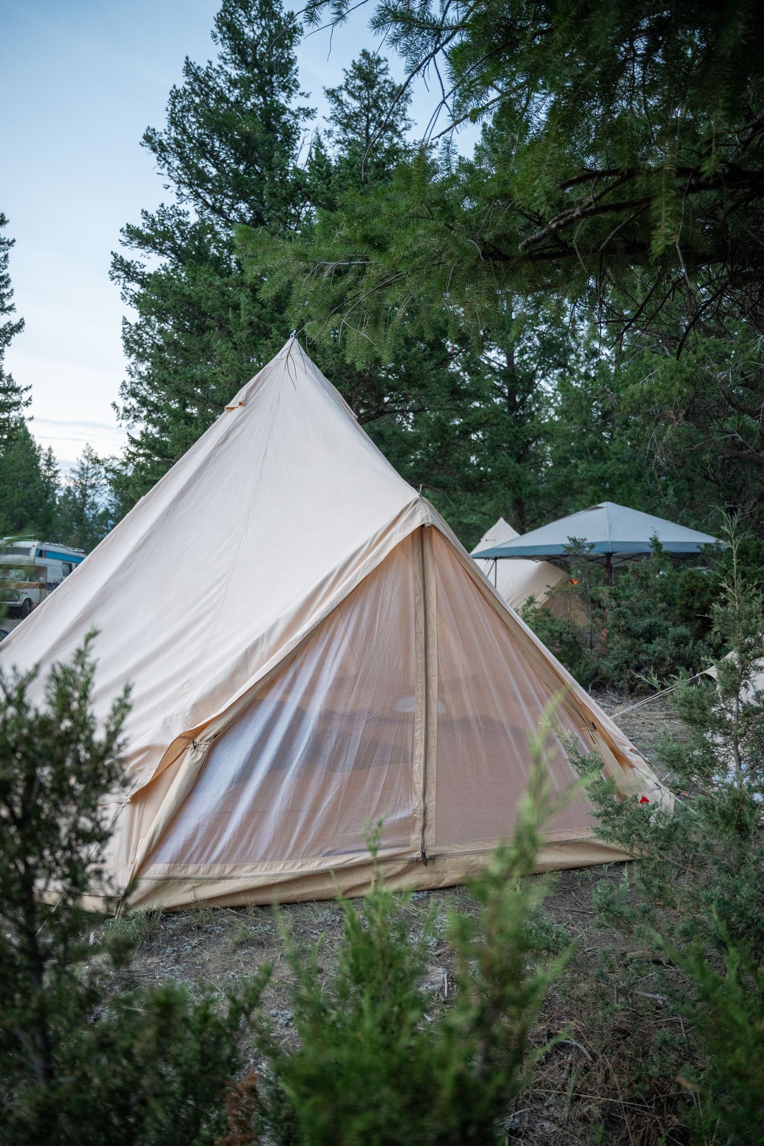 Wicked woods 2025 photography at event by mike graves premium camping Revelstoke BC event photographer, music festival photography,
