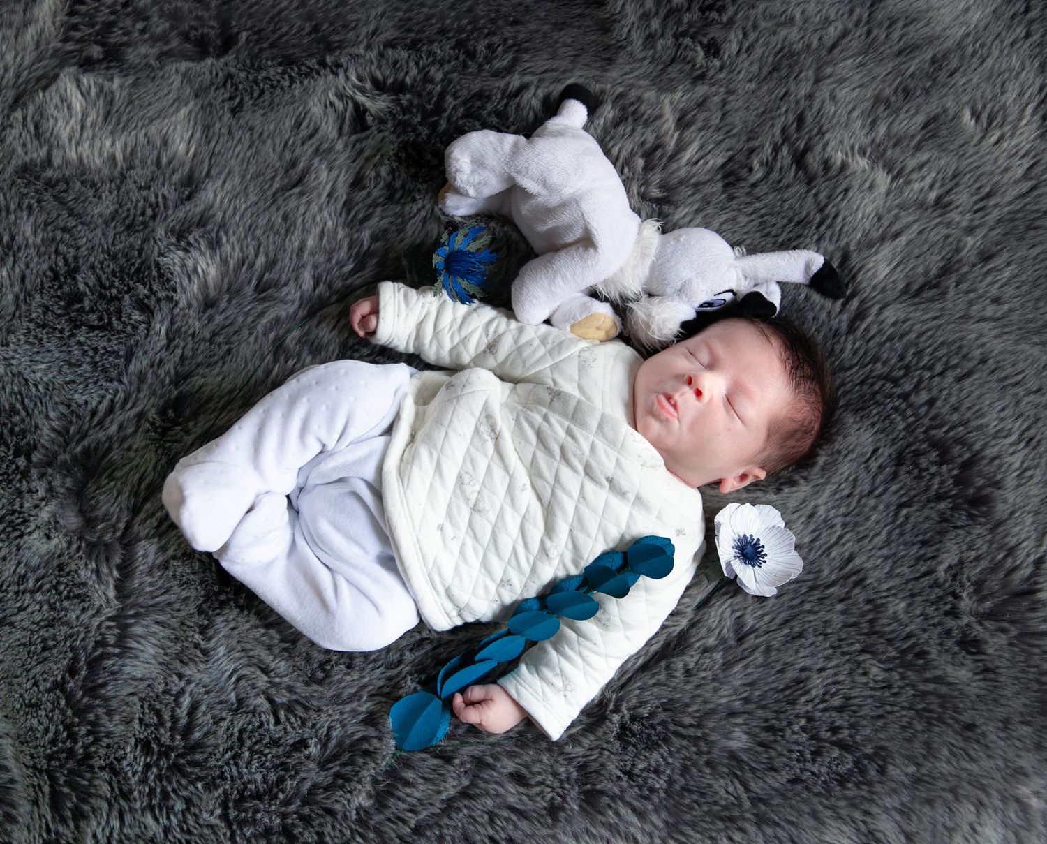 photographe de naissance à neuilly sur seine