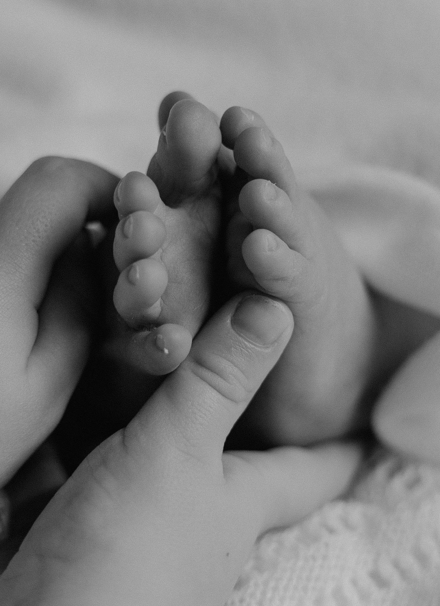 Black and white close-up photo of an adult hand gently holding tiny newborn baby feet.
