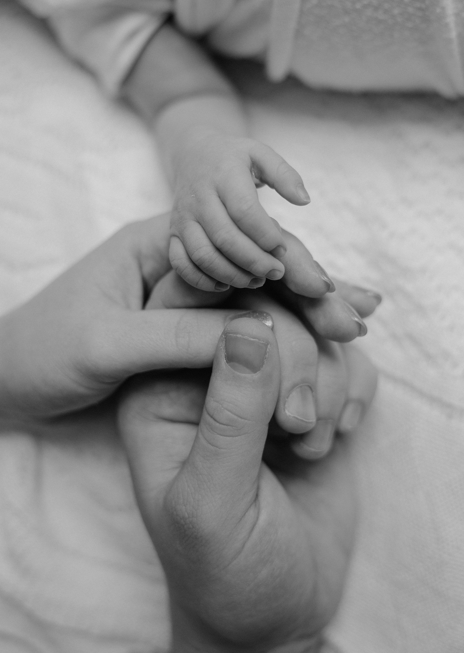Black and white photo of a tiny baby hand gently resting on two adult hands, symbolizing family love.