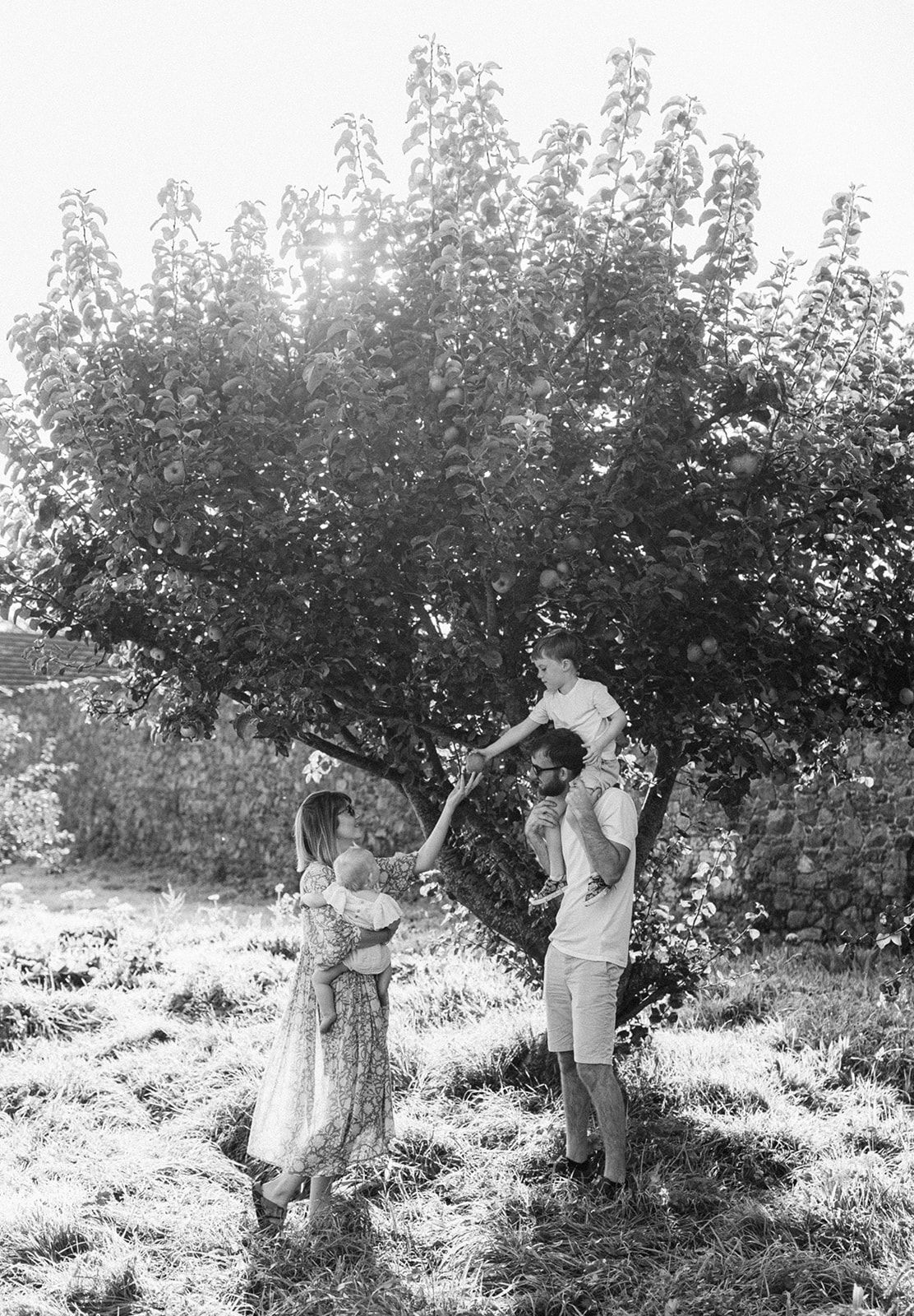 Black and white photo of a family with a child on dad's shoulders reaching toward a tree in a sunny garden.