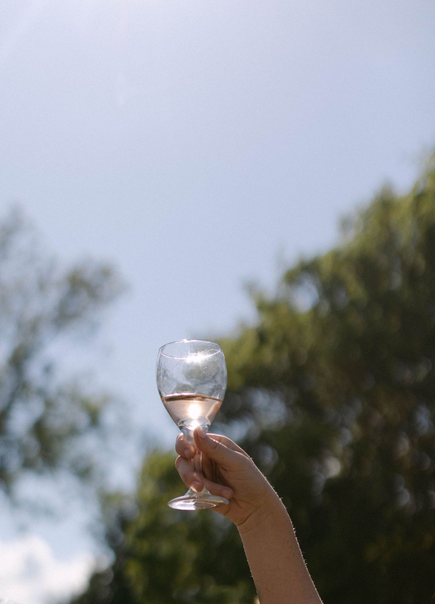 A hand holds up a wine glass against a bright blue sky with trees in the background.