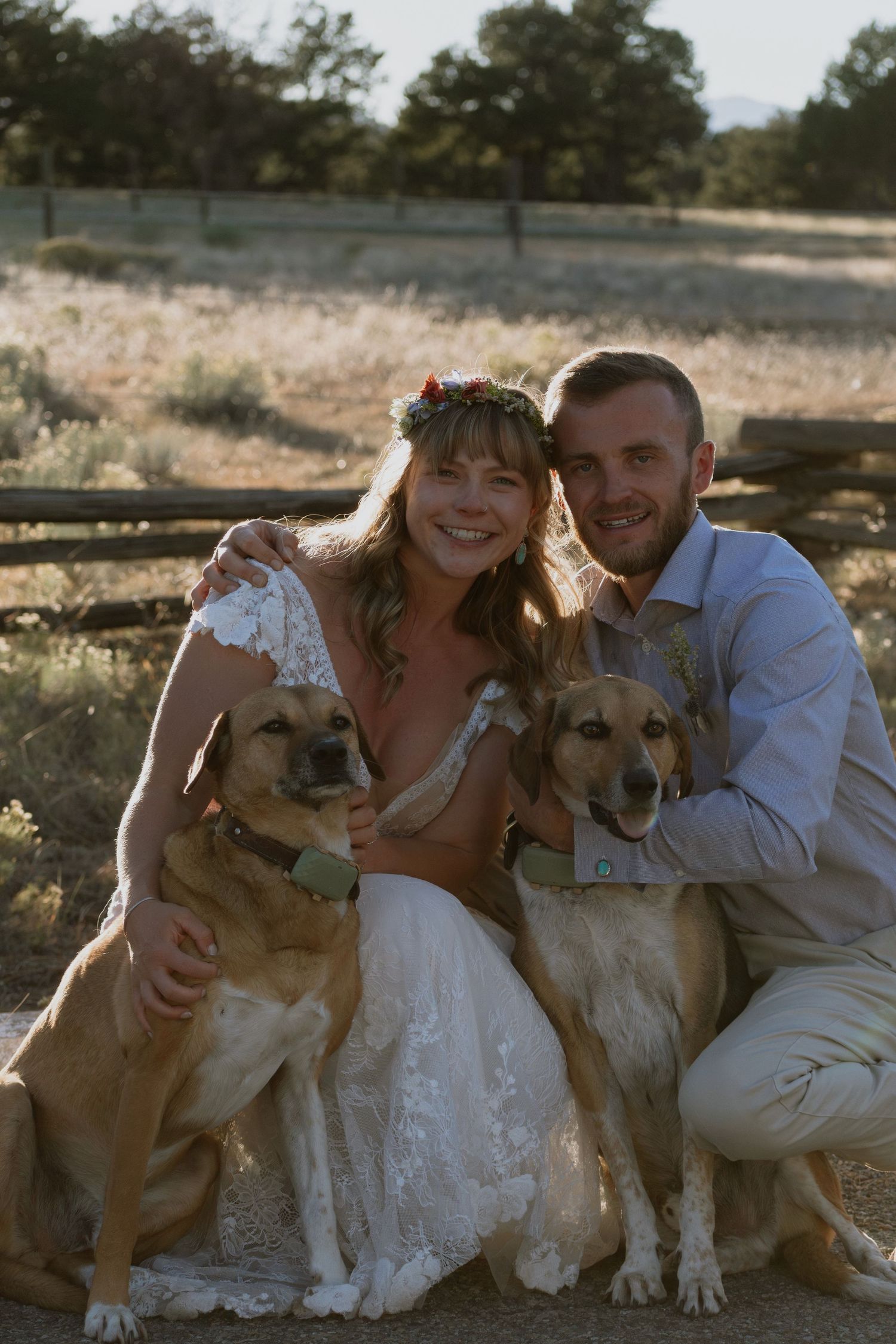 Smiling bride and groom in wedding attire pose outdoors with two golden-brown dogs on a sunny rural property.