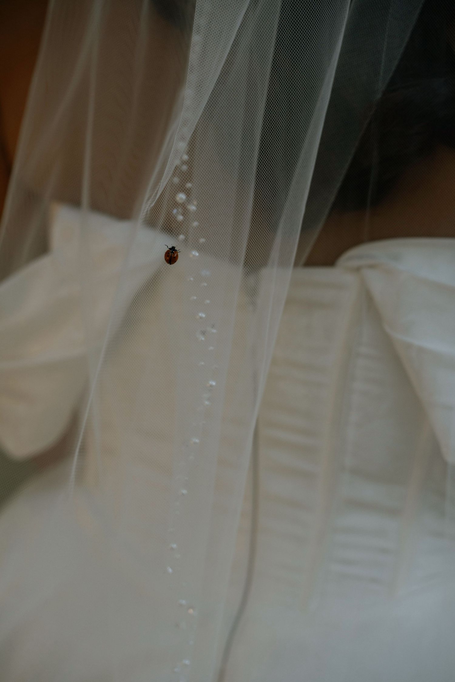 A ladybug rests on a delicate white bridal veil with pearl details, draped over a wedding dress.