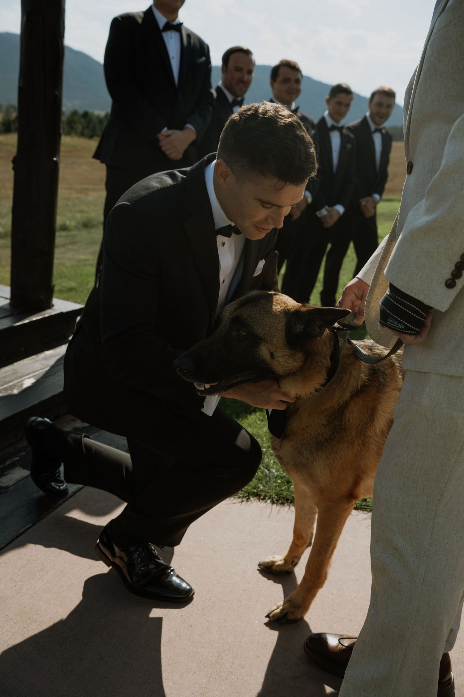 Groomsman in black tuxedo kneeling to pet a German Shepherd dog at an outdoor wedding ceremony.