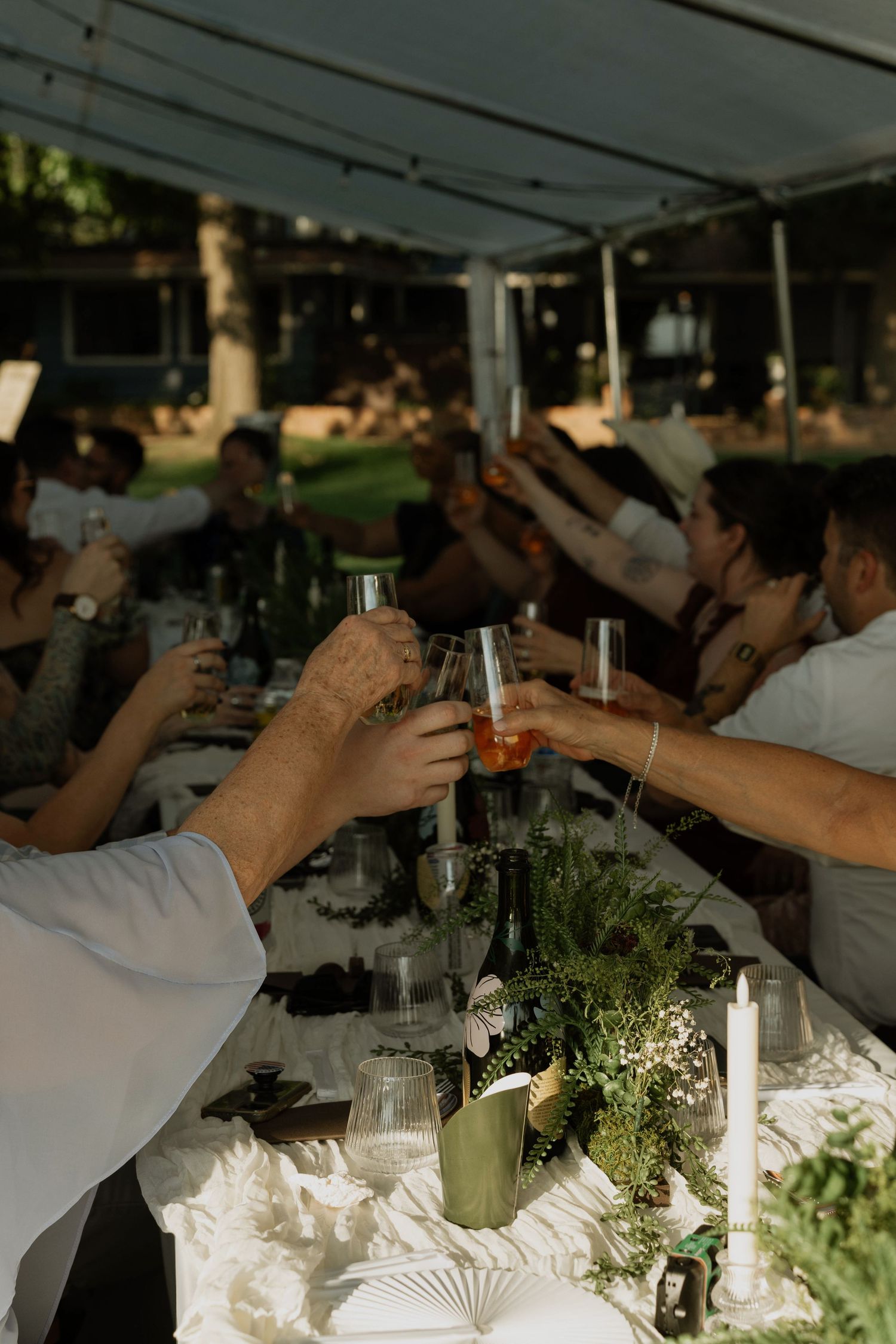 Guests raising glasses in a toast at an elegant outdoor wedding reception under a white tent with greenery centerpieces.