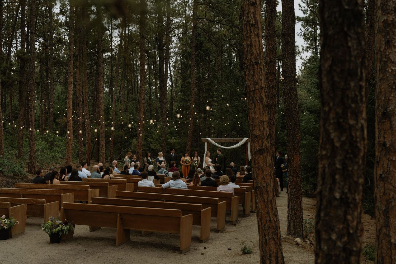 Outdoor forest wedding ceremony with wooden pews, string lights, and a decorated arch among tall pine trees.