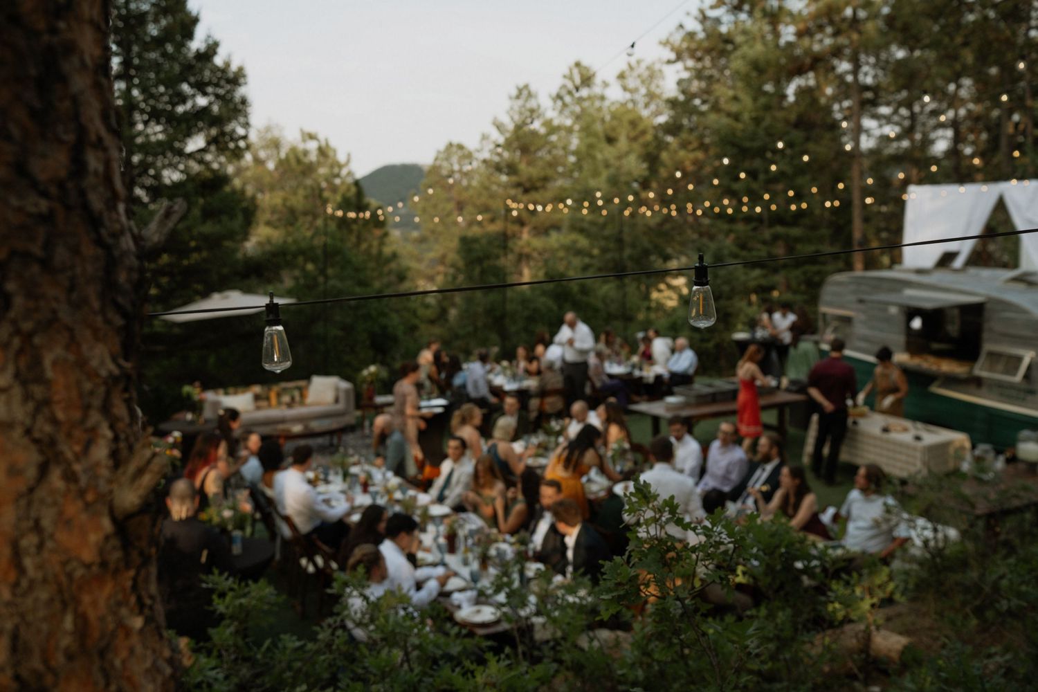 Guests gather for an outdoor wedding reception dinner under string lights surrounded by lush forest trees at dusk.