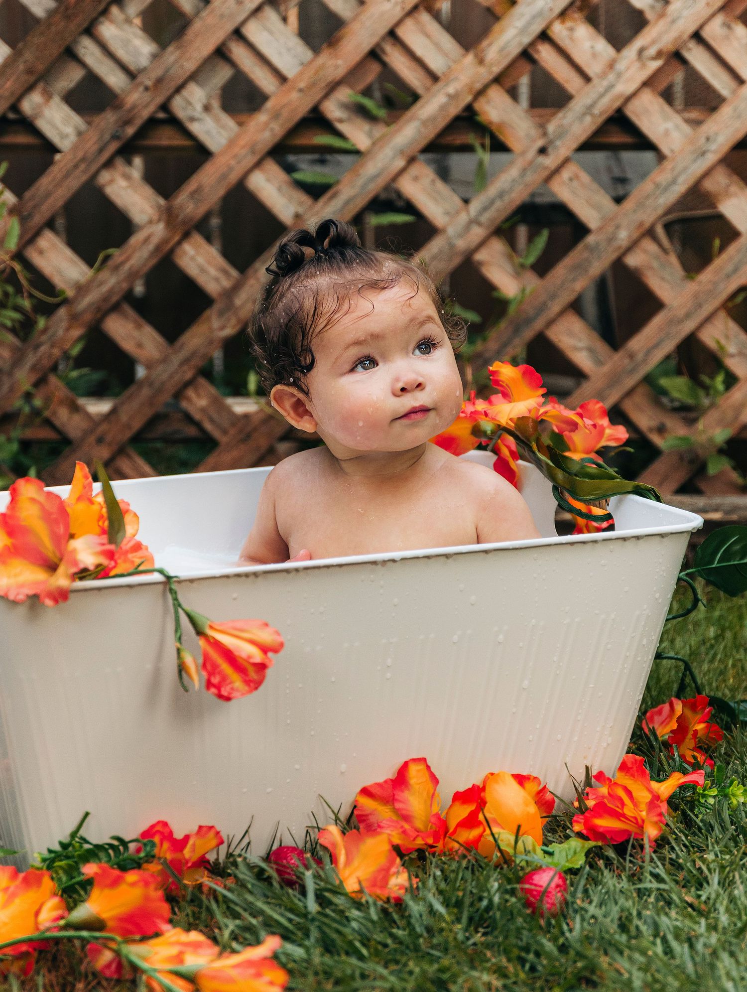 Small child in white bathtub surrounded by vibrant orange flowers and wooden lattice backdrop.