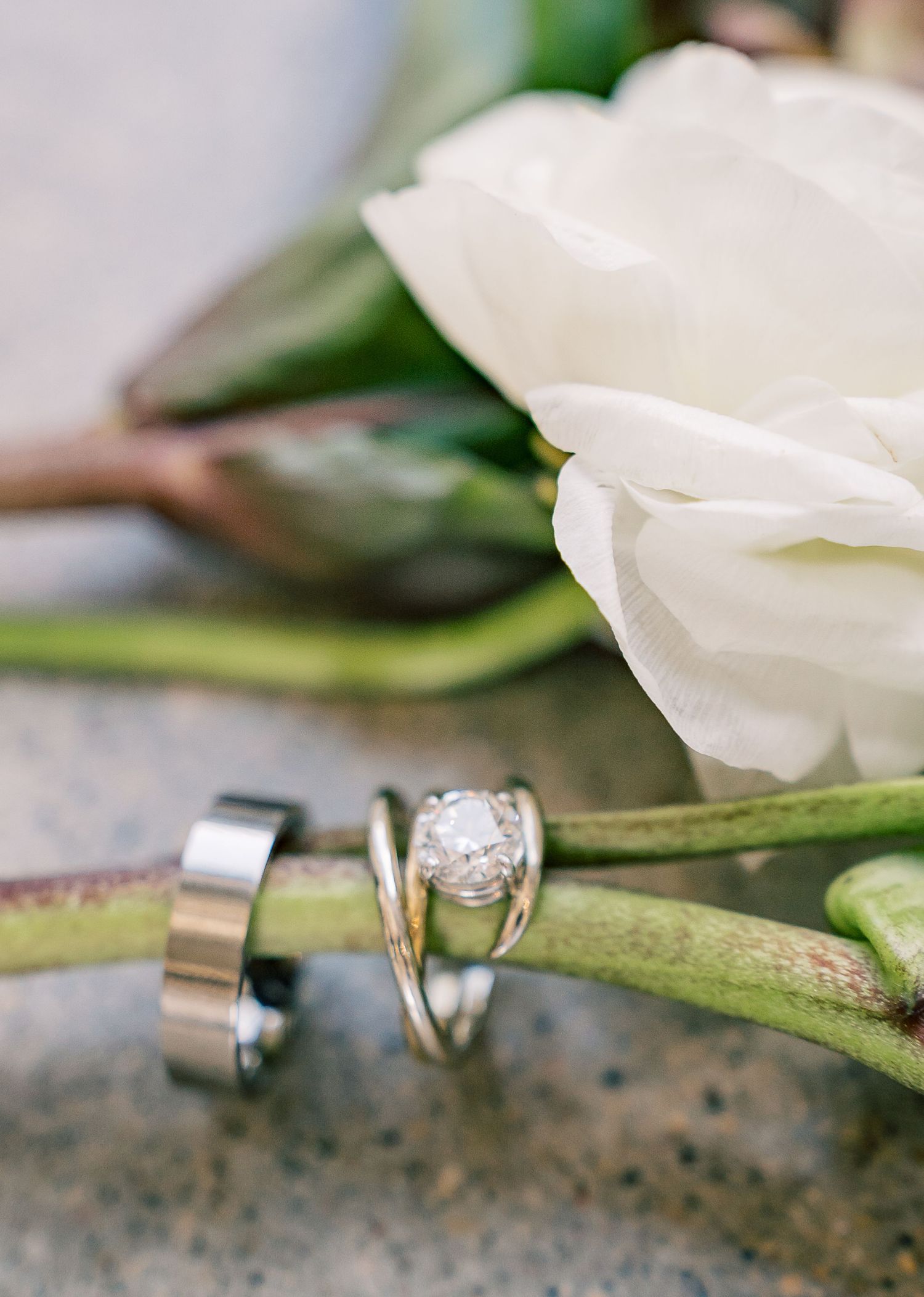 Engagement rings and wedding bands resting on a white rose stem showcasing their sparkling diamond details.