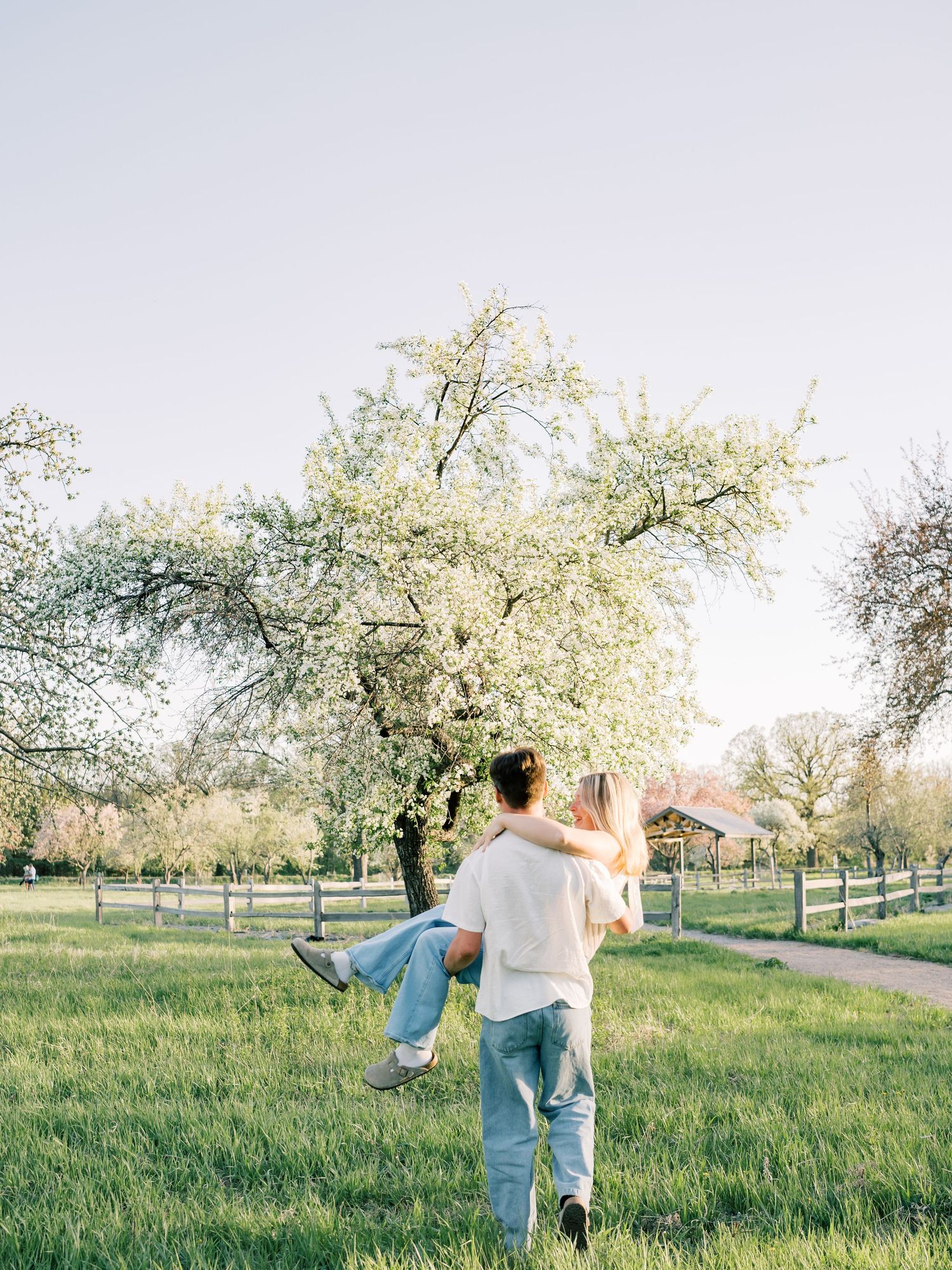 Couple embracing in a blooming spring orchard, man lifting woman near a flowering white tree on a green meadow.